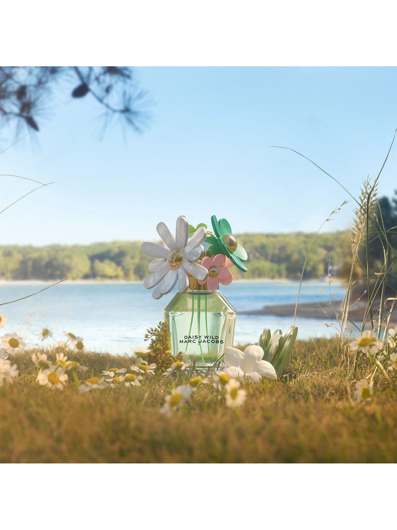 Daisy Wild Eau de Parfum 50ml