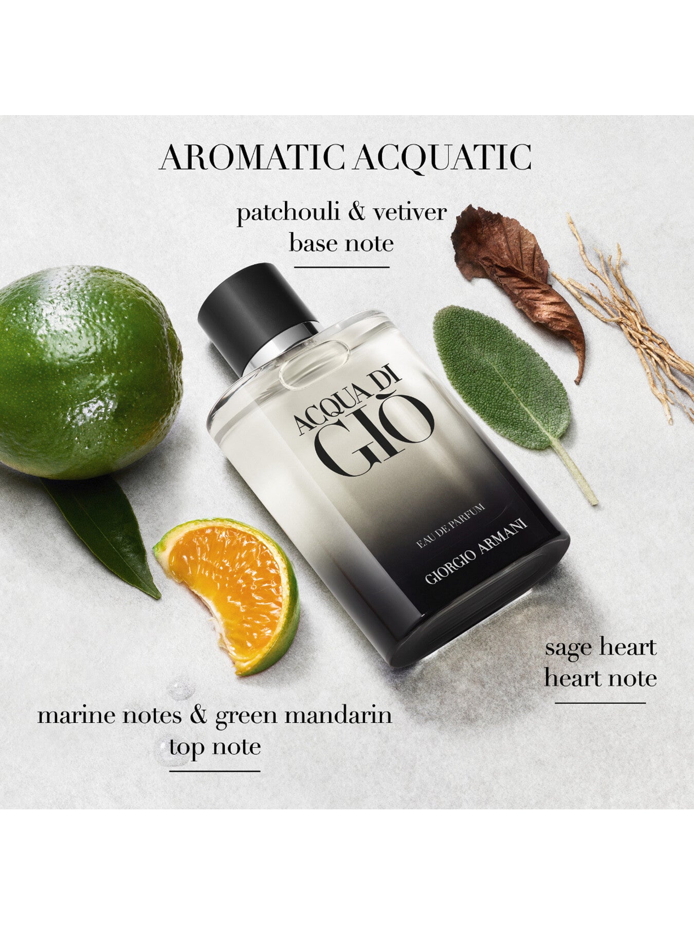 Acqua Di Gio Eau de Parfum 100ml