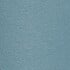 Blue Spruce