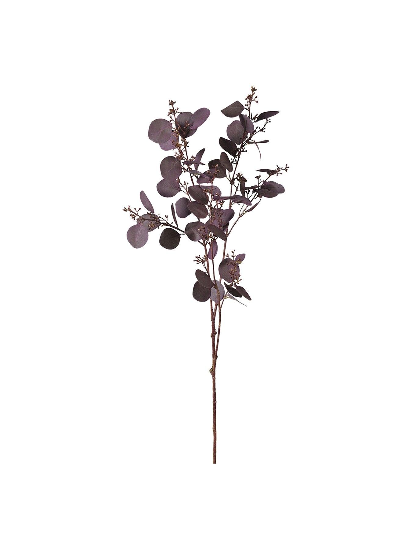 Aubergine Large Eucalyptus Seeds Spray