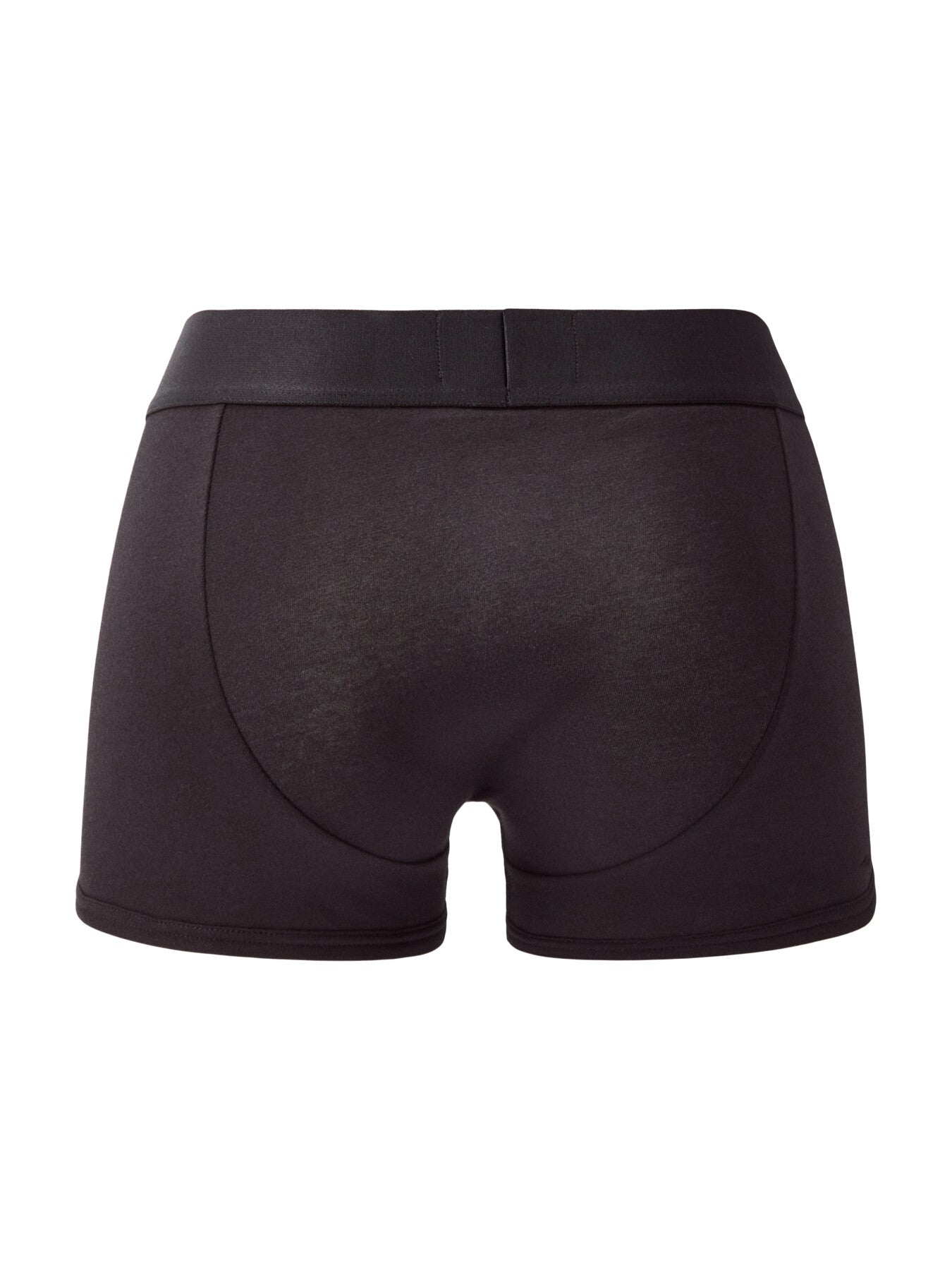 Trunk Iconic Boxer Briefs