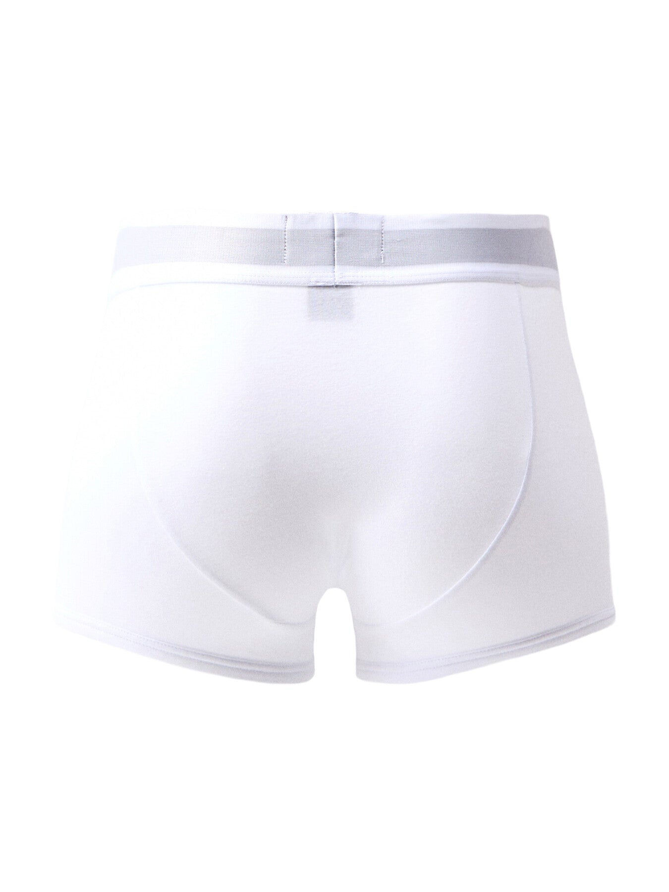 Trunk Iconic Boxer Briefs