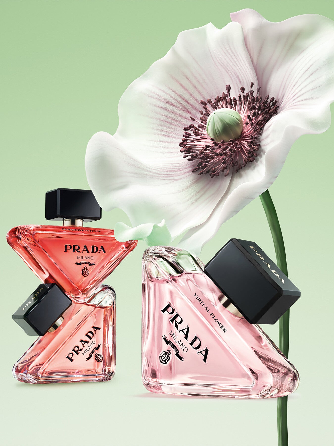 Paradoxe Virtual Flower Eau de Parfum 50ml