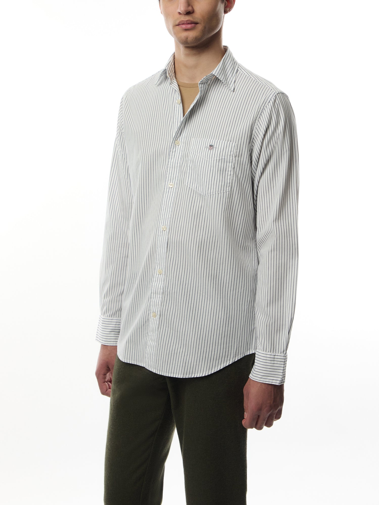 Classic Striped Regular Fit Poplin Shirt