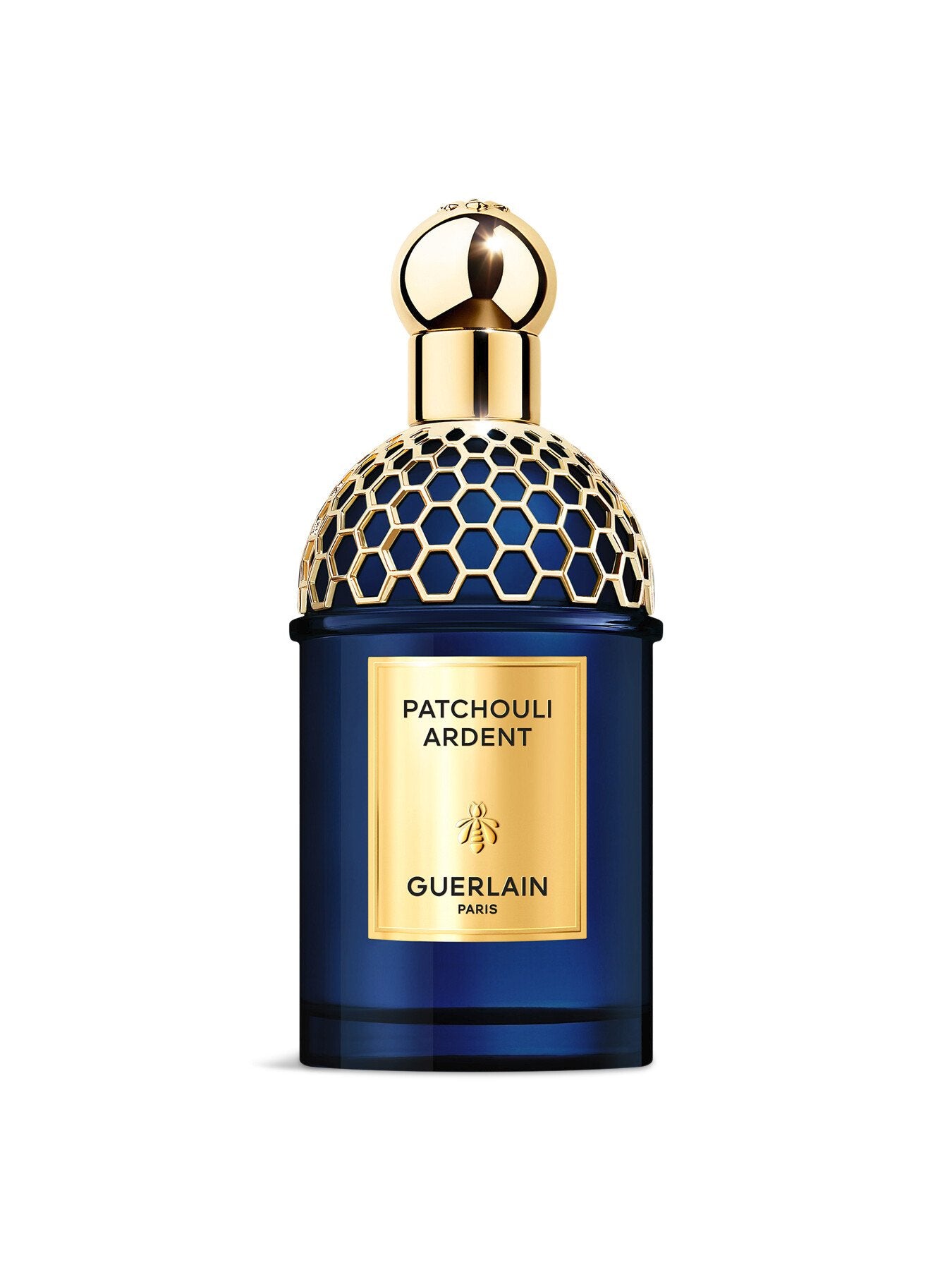 Absolus Allegoria Patchouli Ardent Eau de Parfum 125ml