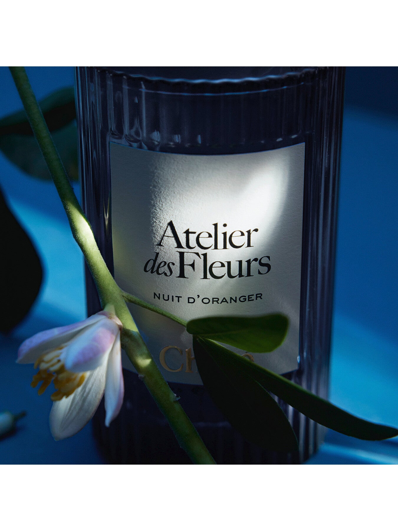 Atelier des Fleurs Nuit d'Oranger Eau de Parfum 50ml