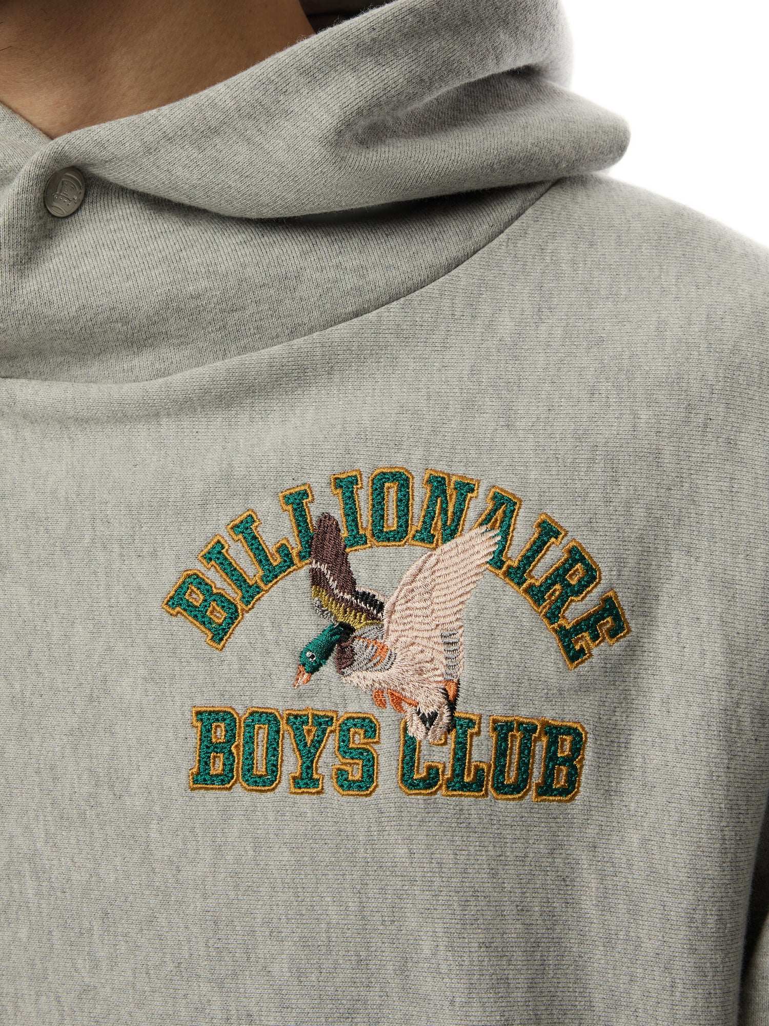 Duck Varsity Embroidered Popover Hoodie
