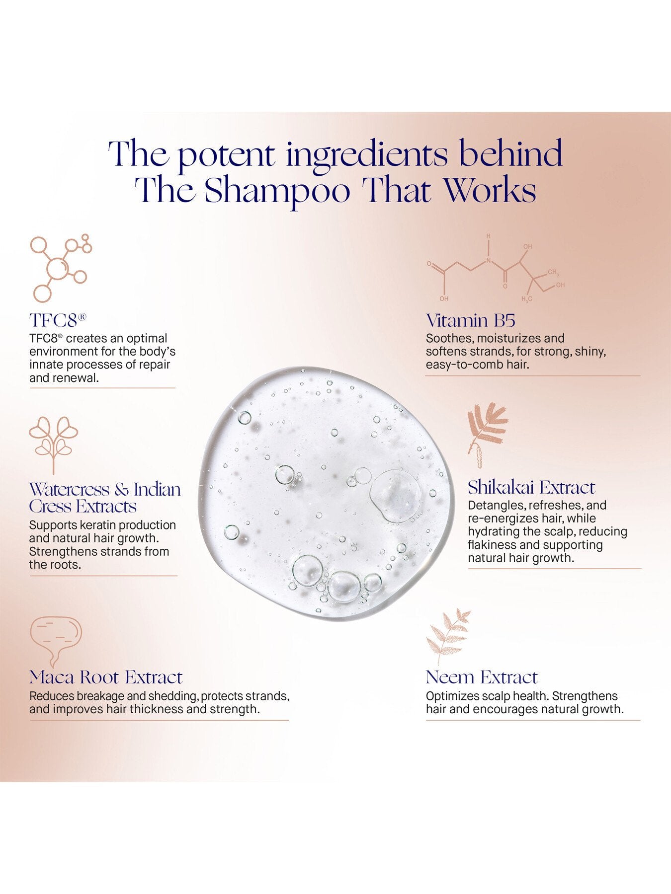 The Shampoo