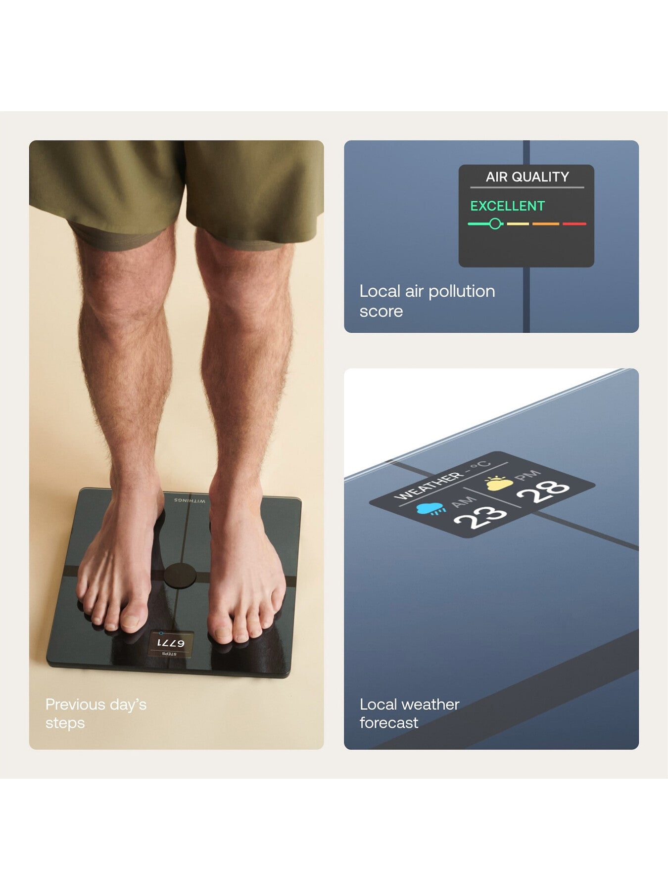 Body Smart Scale