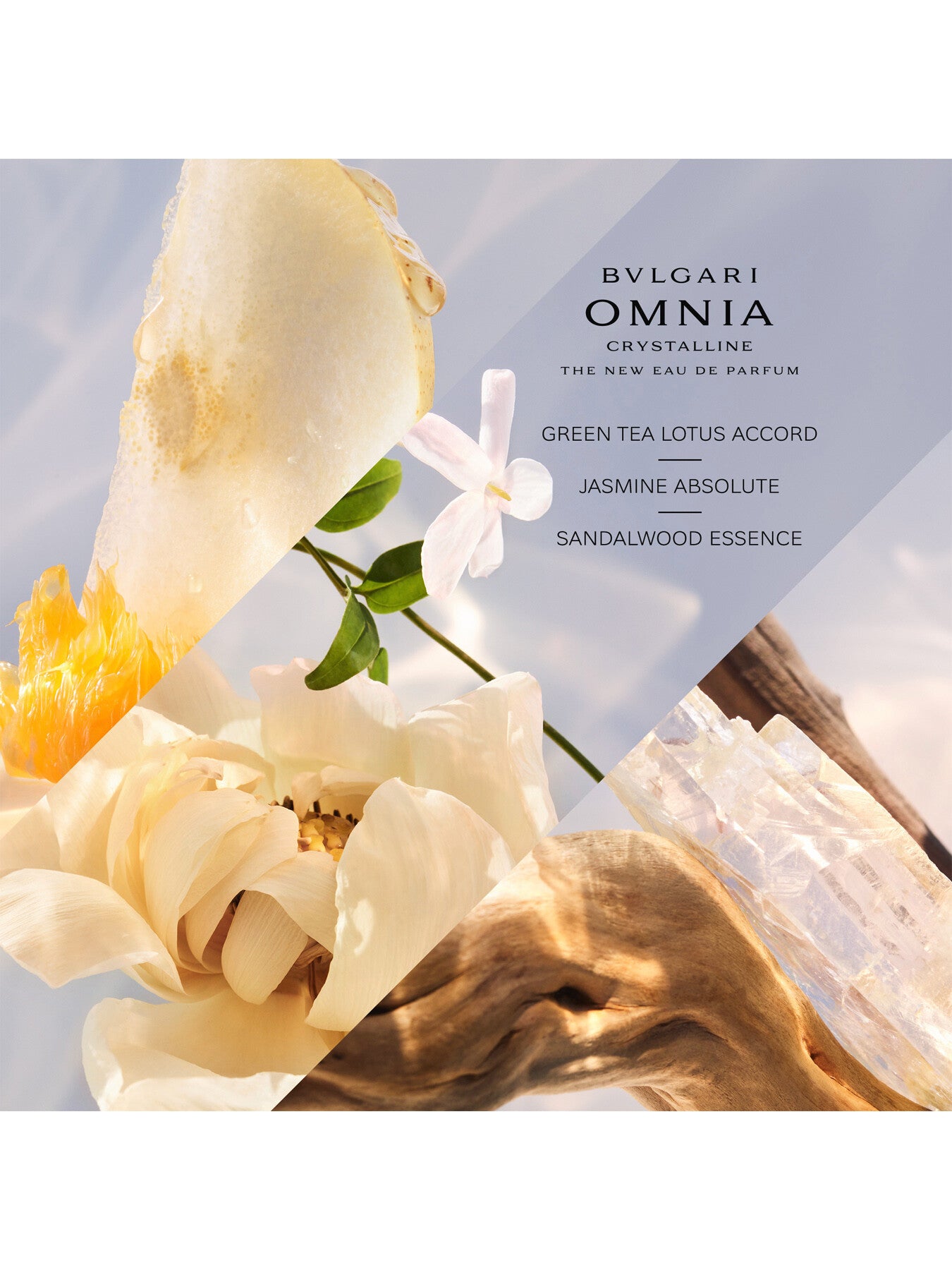 Omnia Crystalline Eau de Parfum 50ml