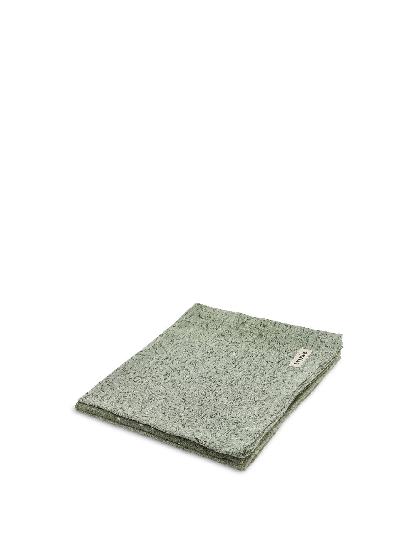Muslin cloths 3-pack mix - Daring Dino