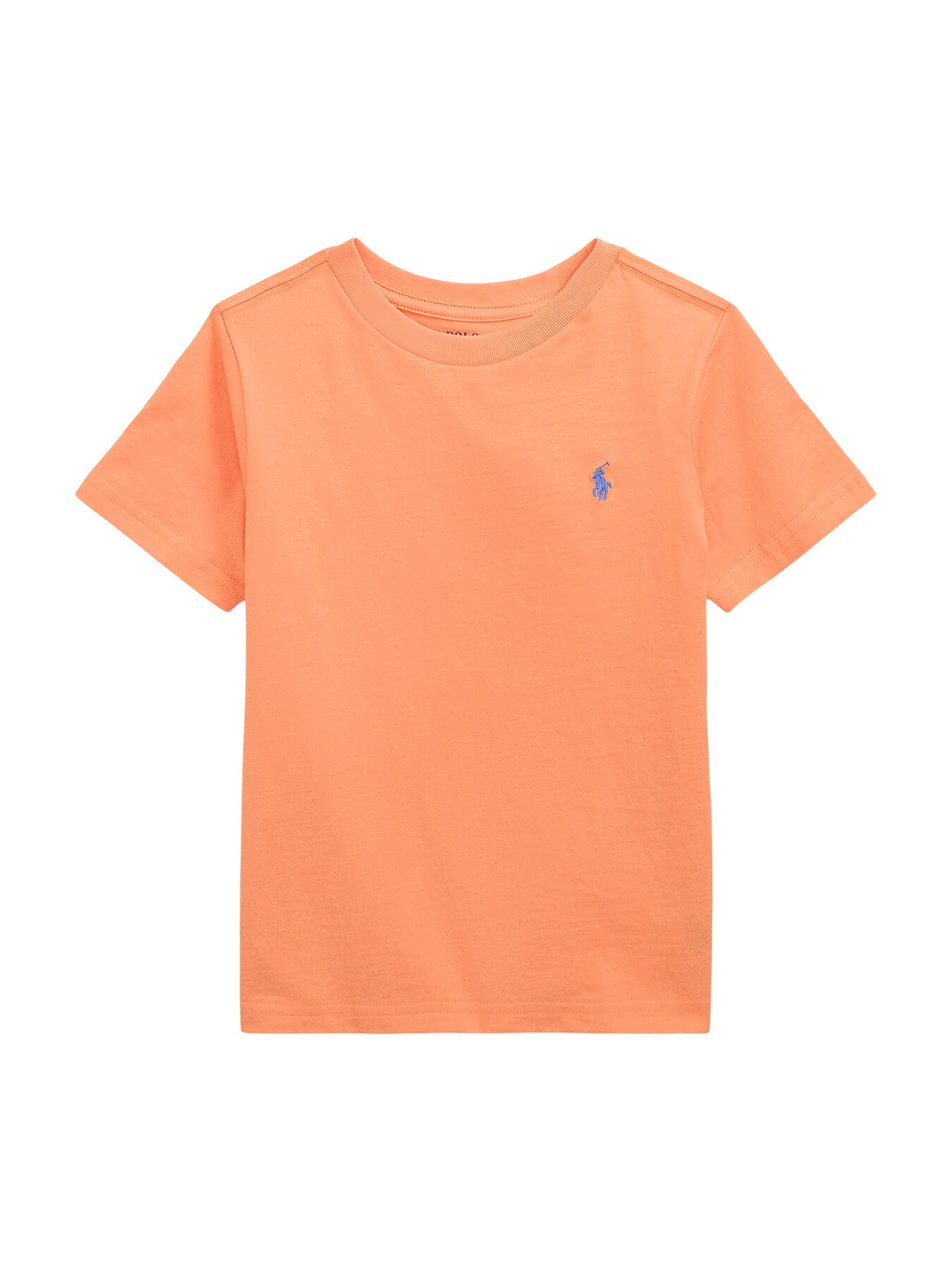 Cotton Jersey Crewneck T-Shirt