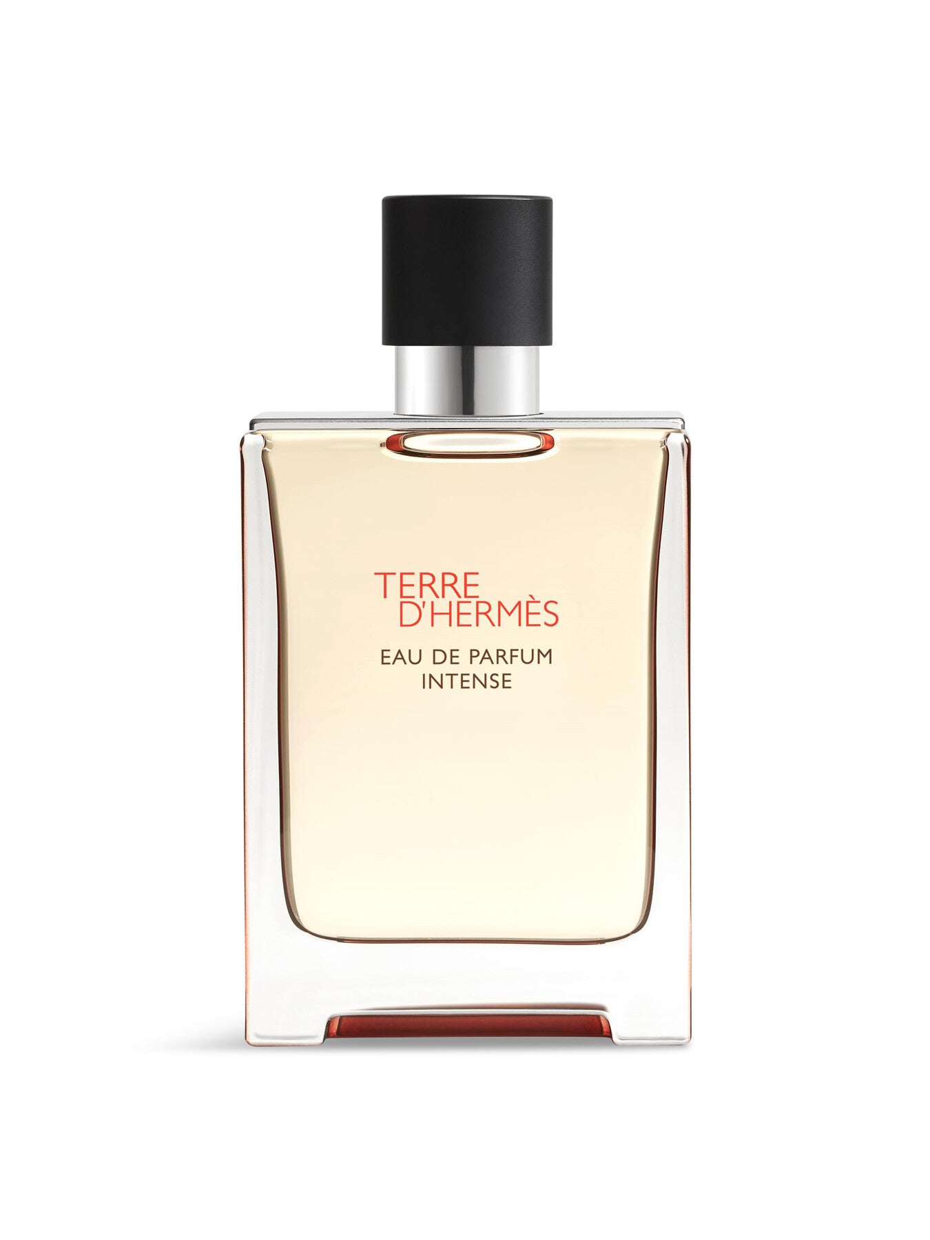 Terre d'Hermès, Eau de Parfum Intense, 100 ml