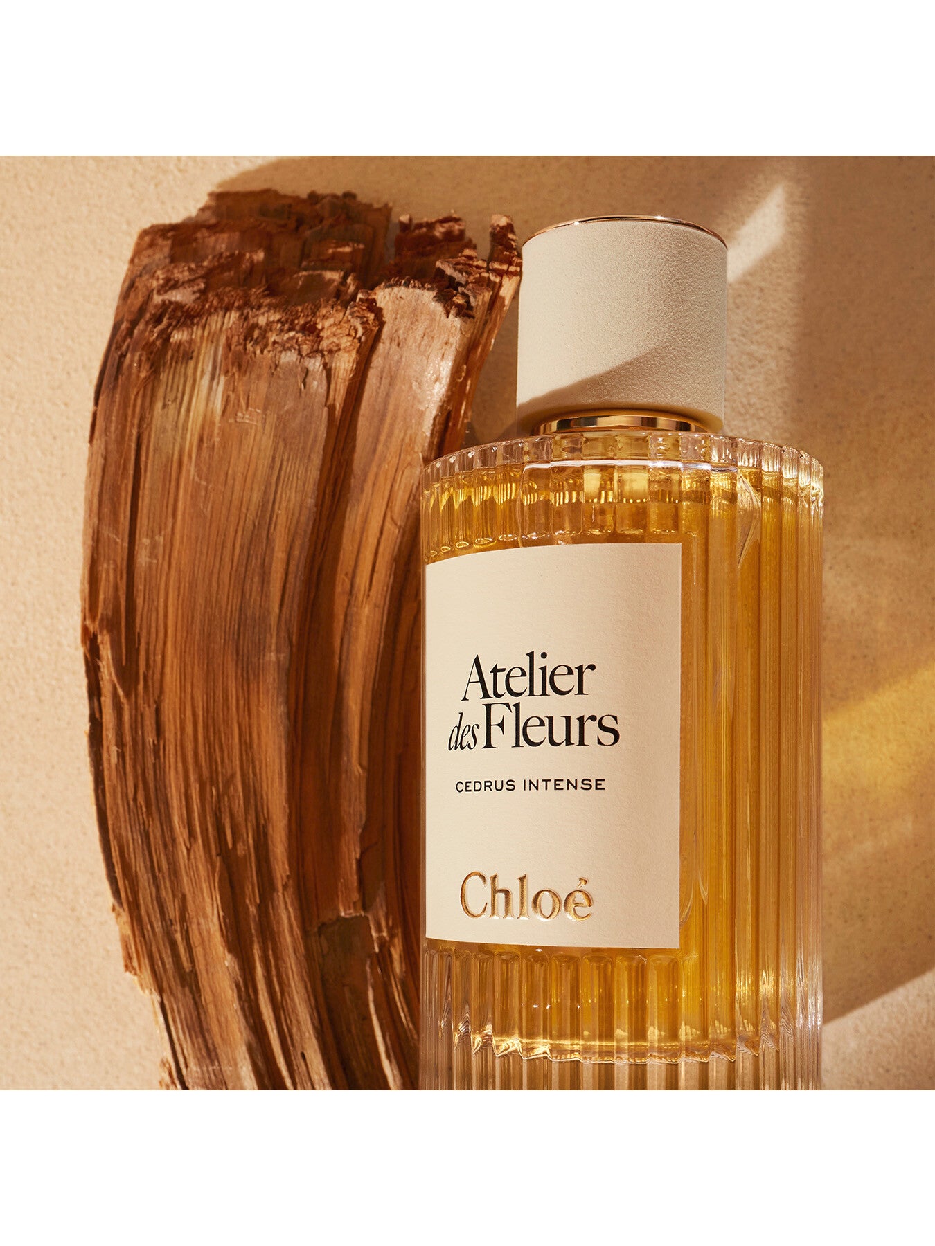 Chloé Atelier des Fleurs Cedrus Intense Eau de Parfum for Women 150ml