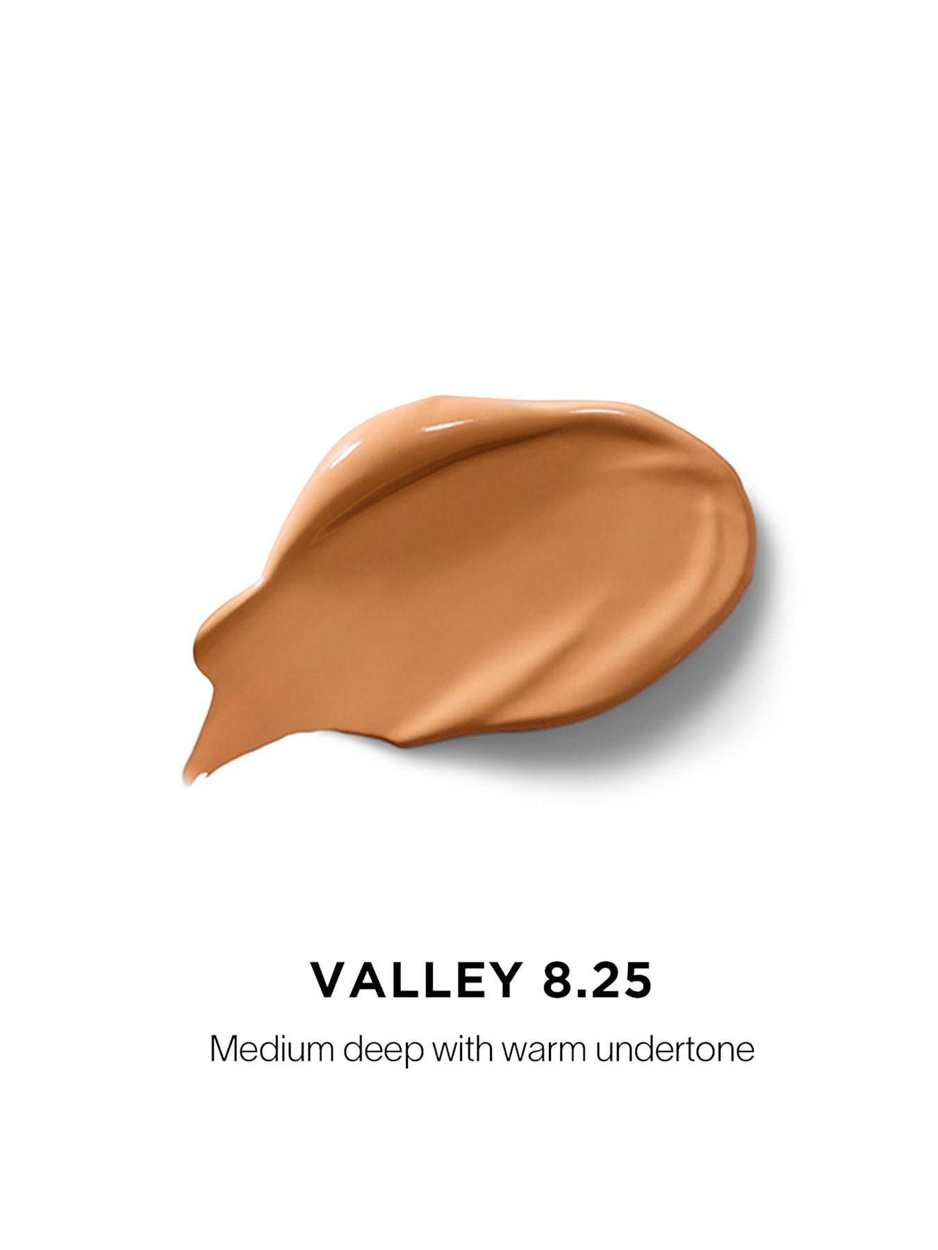 Vanish™ Airbrush Concealer