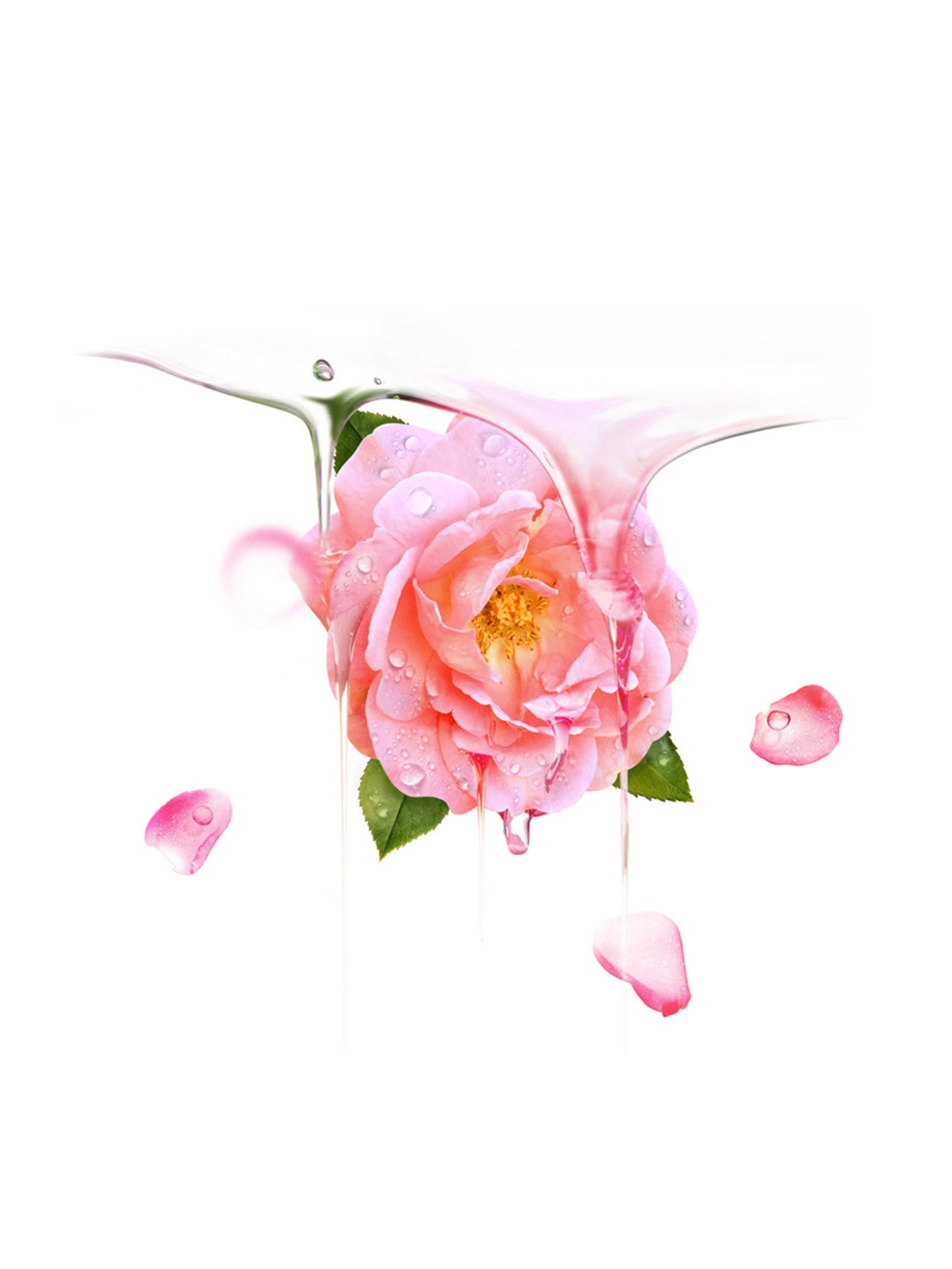 UFO Mask Farm To Face Bulgarian Rose x 6