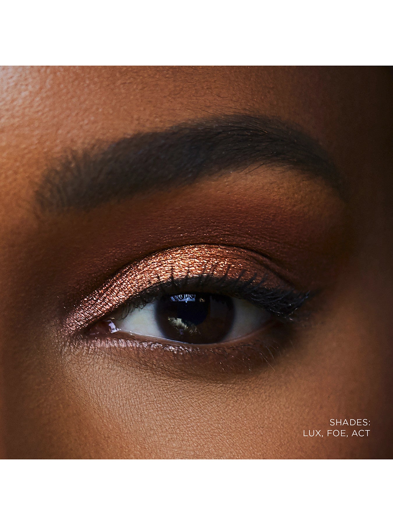 Curator Eyeshadow