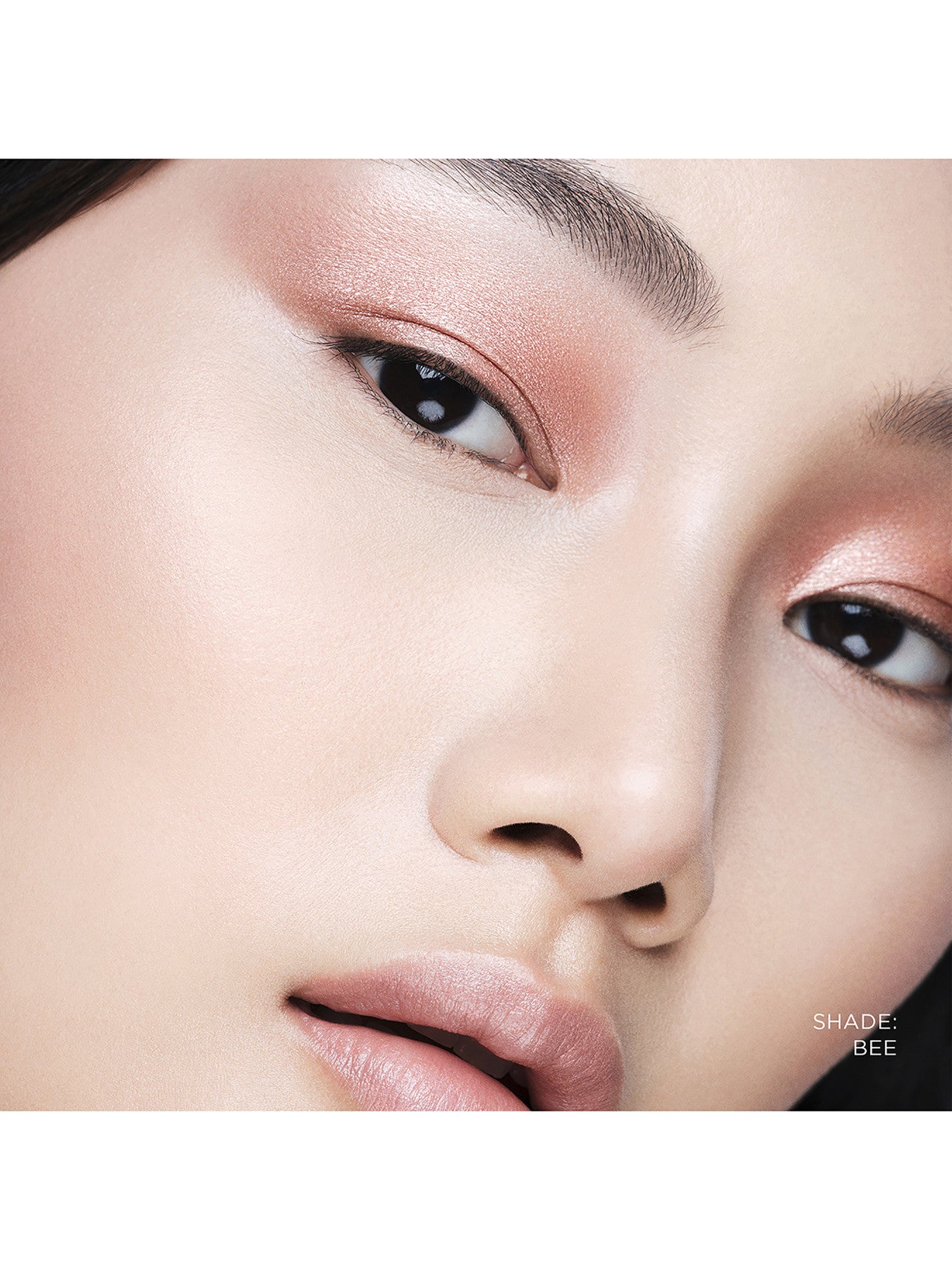 Curator Eyeshadow