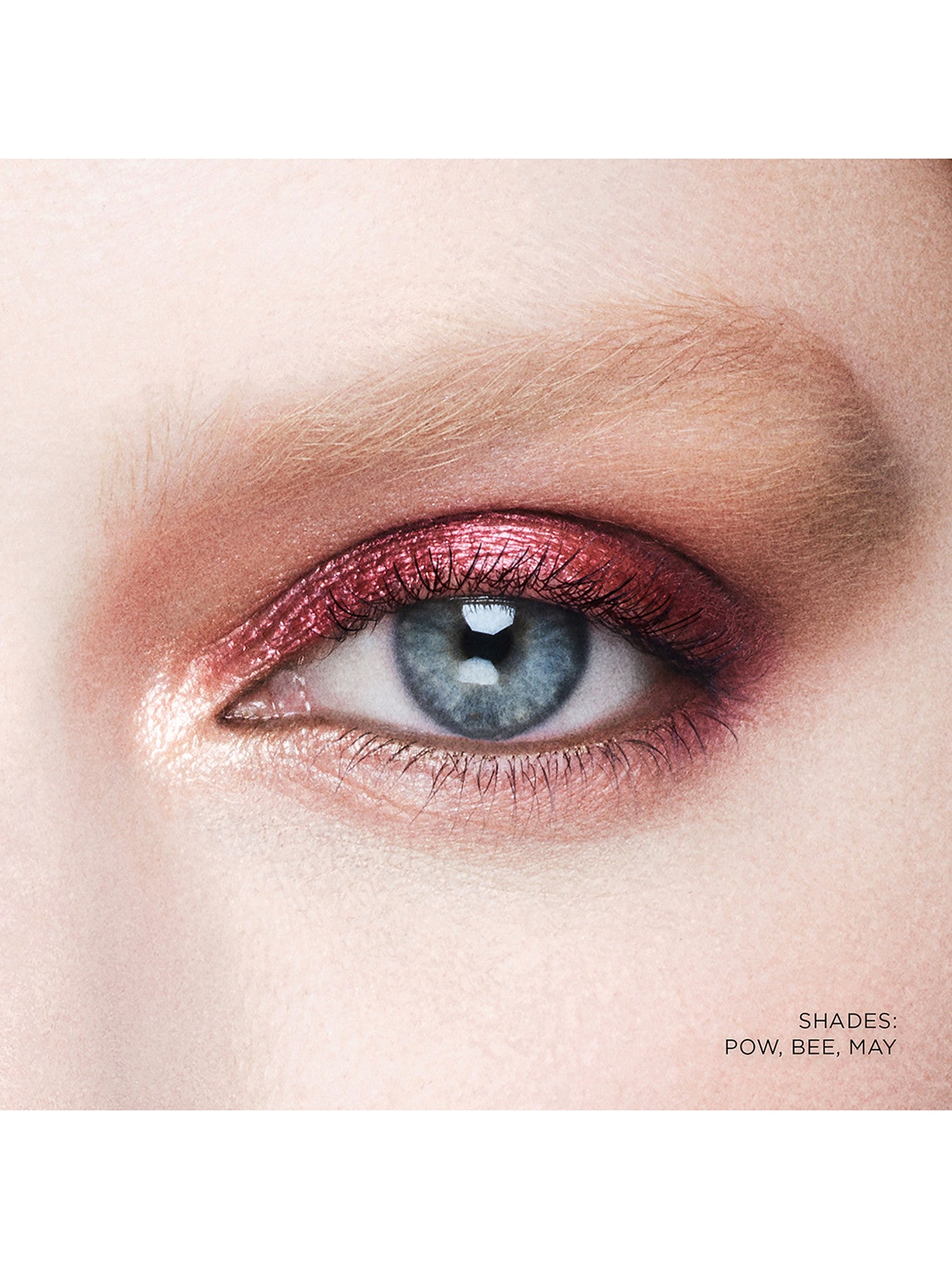 Curator Eyeshadow