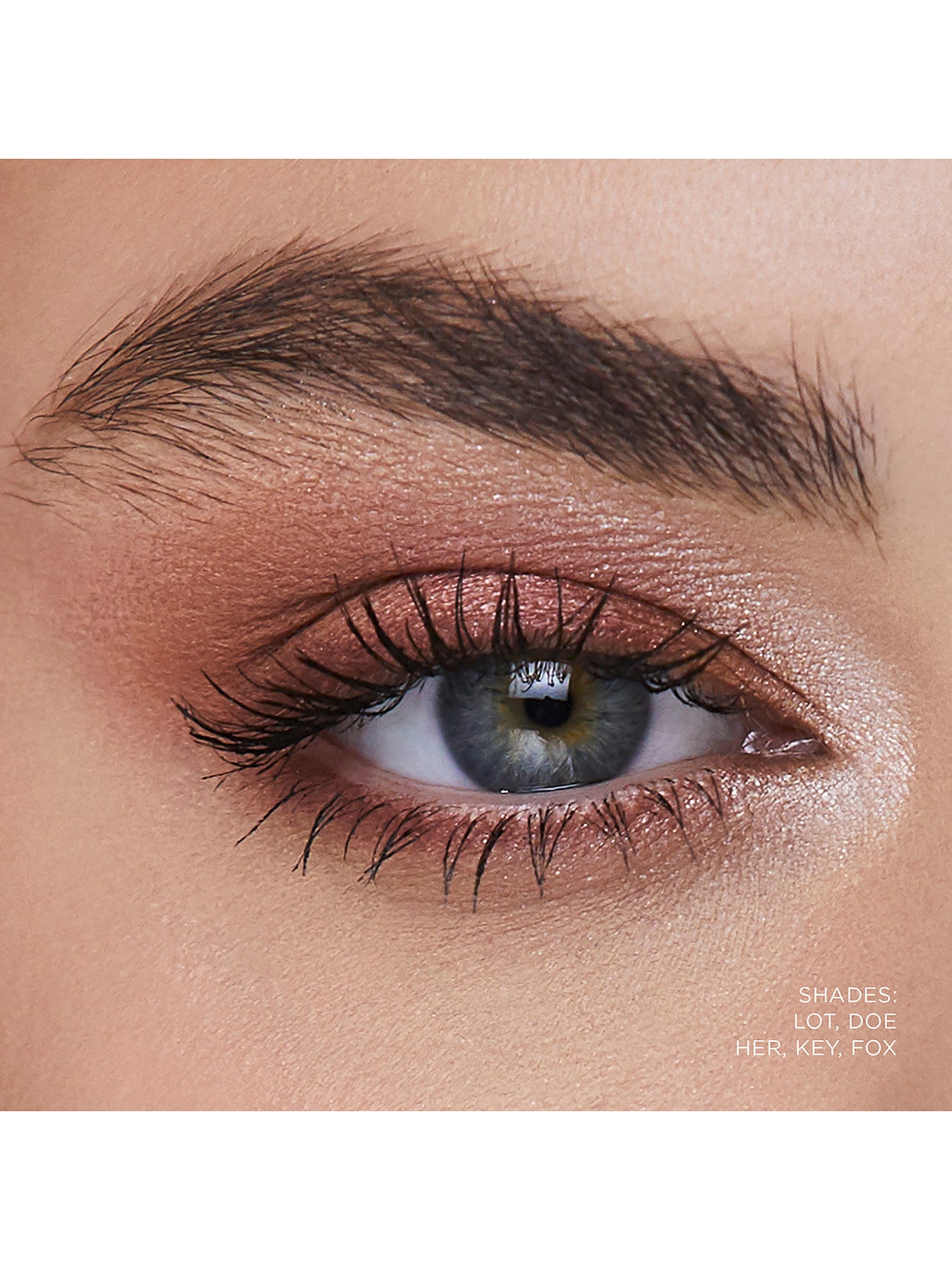 Curator Eyeshadow