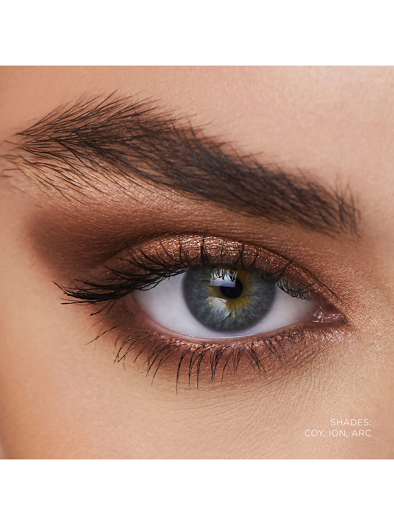 Curator Eyeshadow