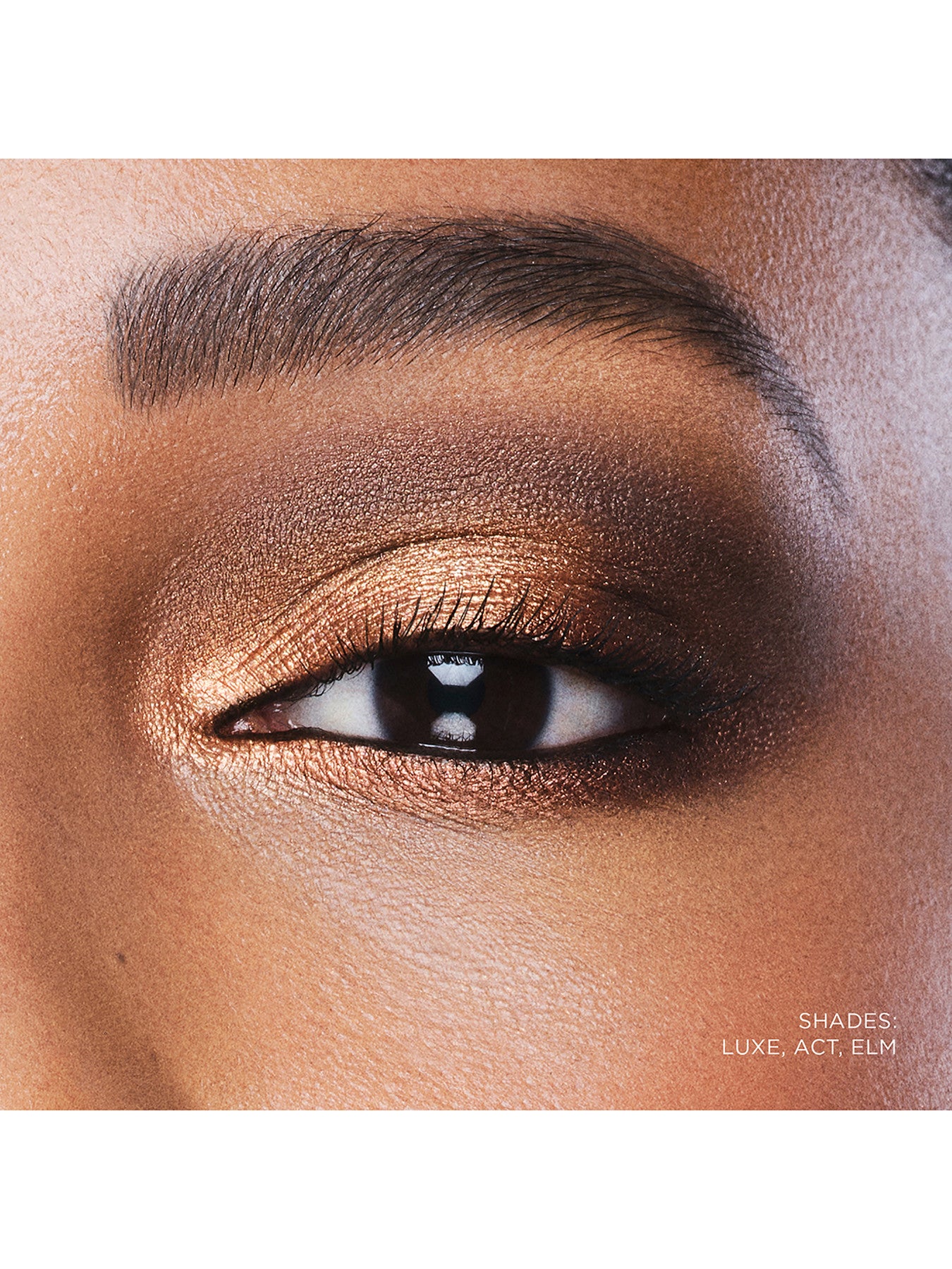 Curator Eyeshadow
