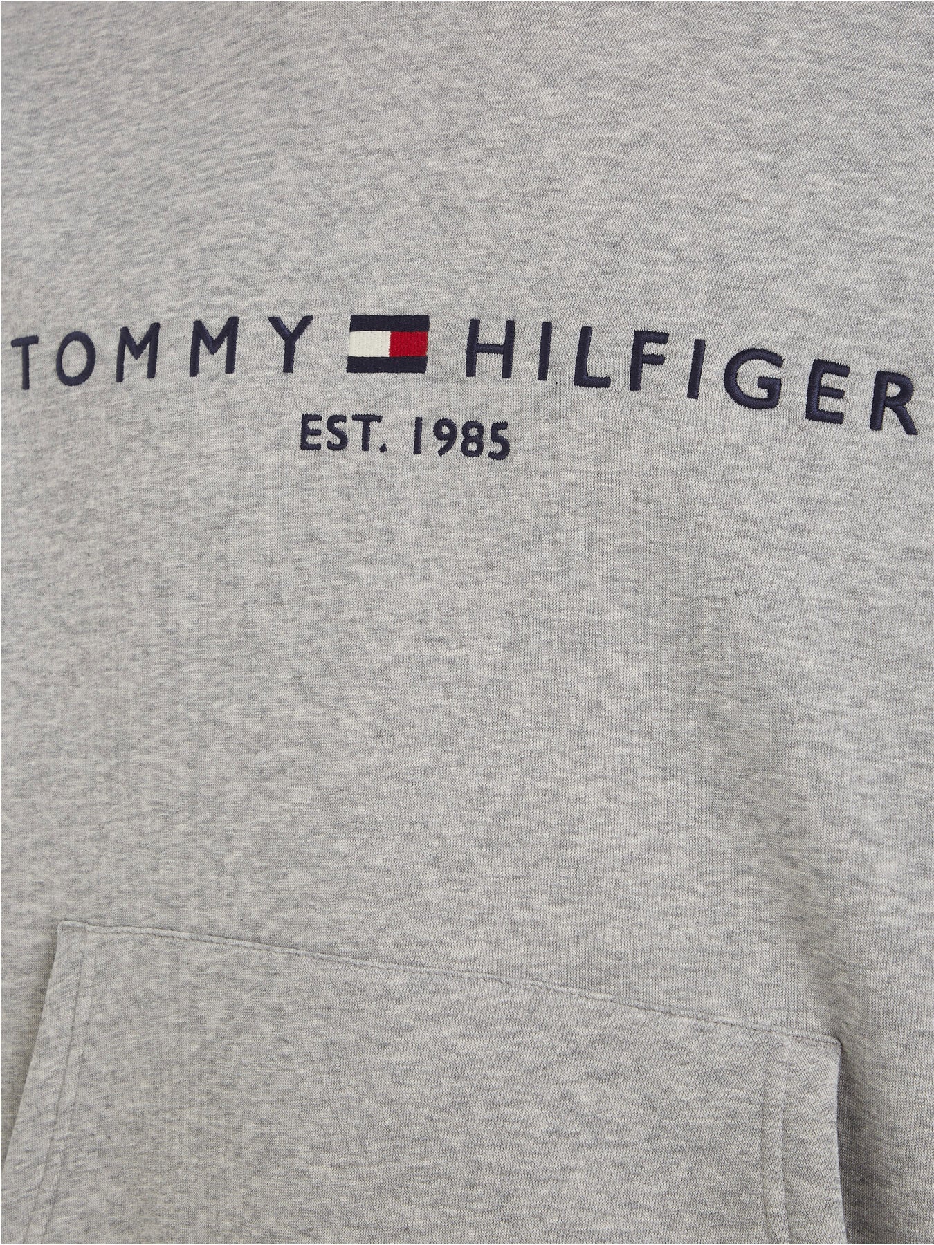 Core Tommy Logo Hoody