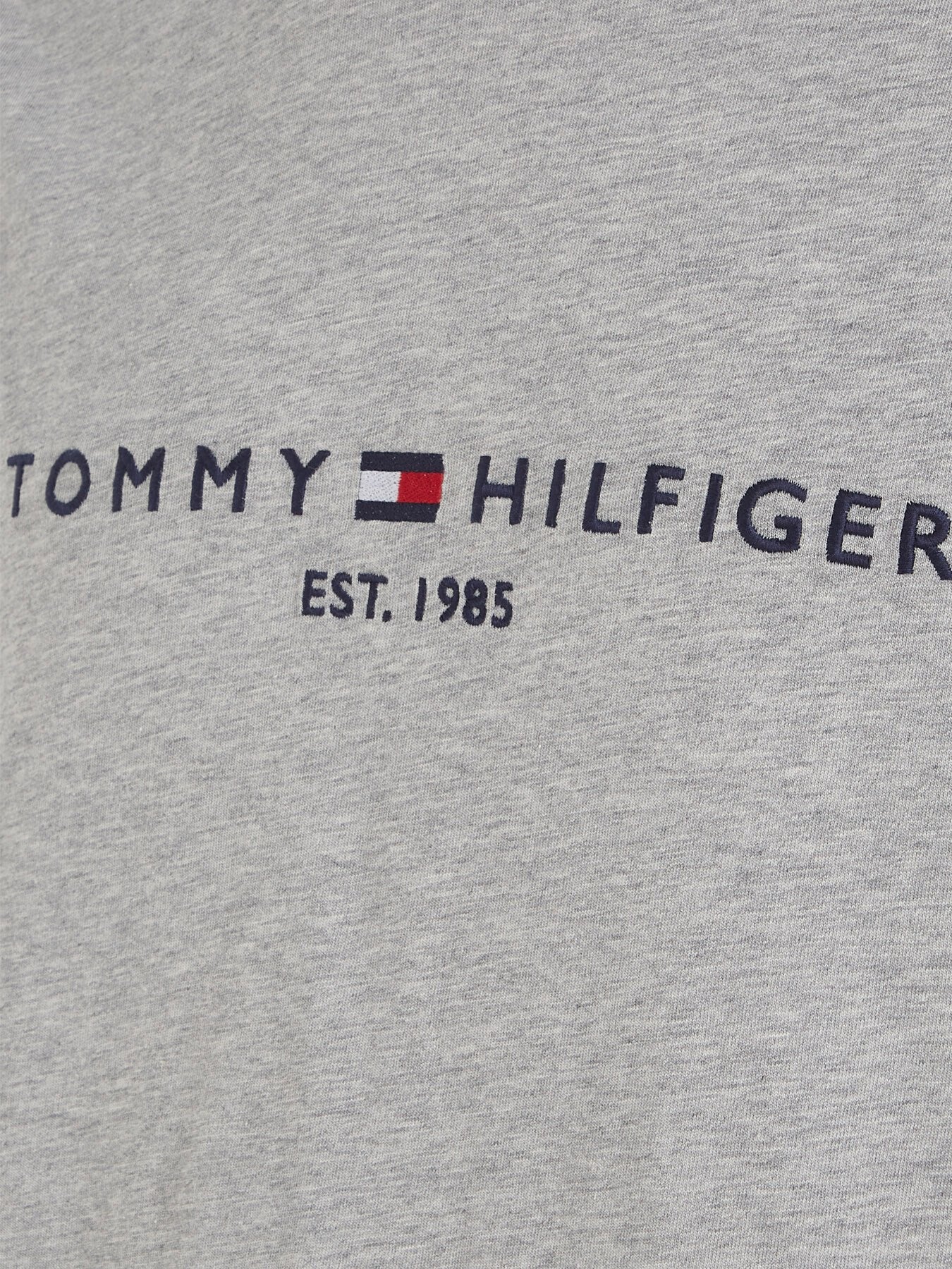 Core Tommy Logo T-Shirt