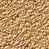 Golden-Bronze