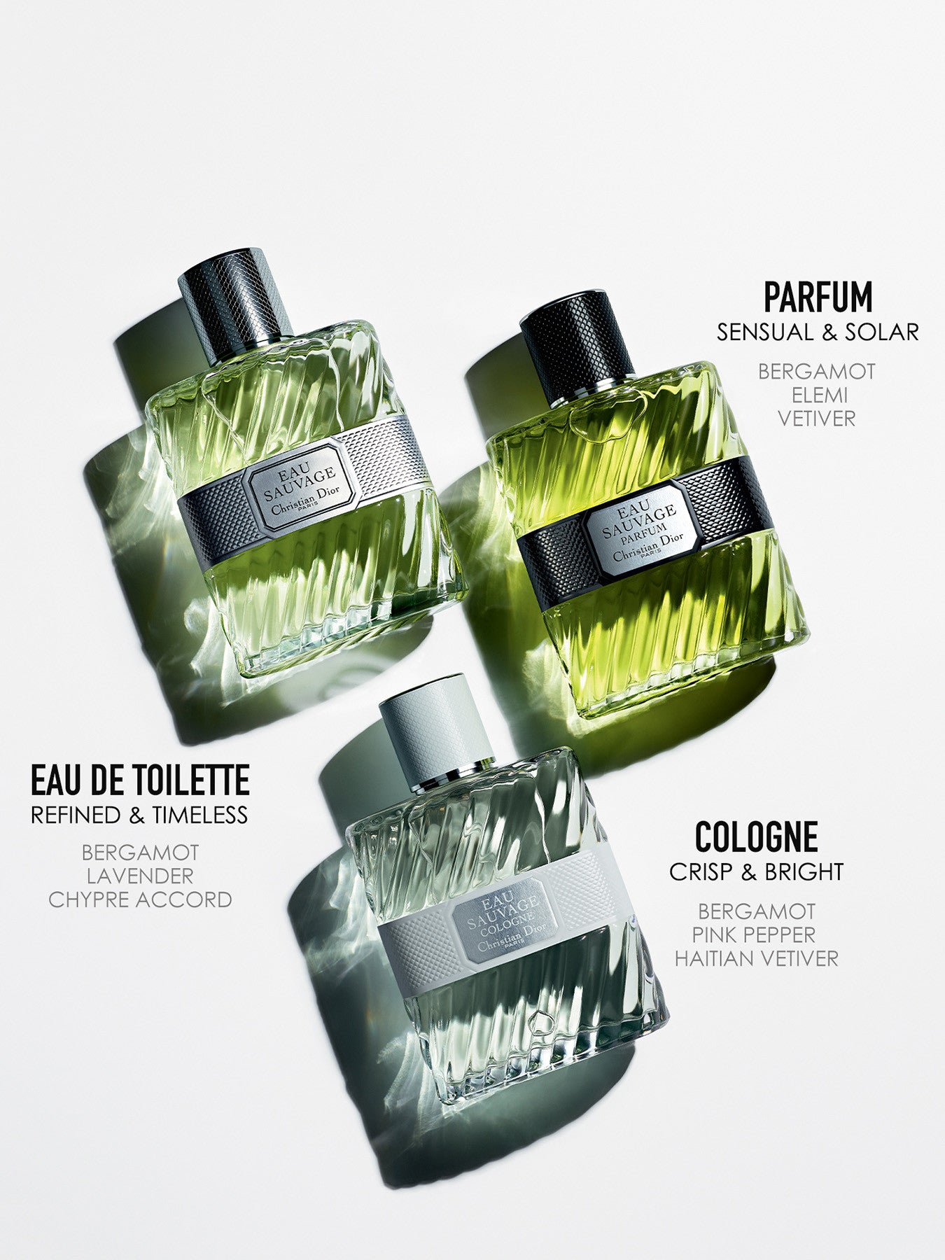 Eau Sauvage Eau de Toilette 100ml