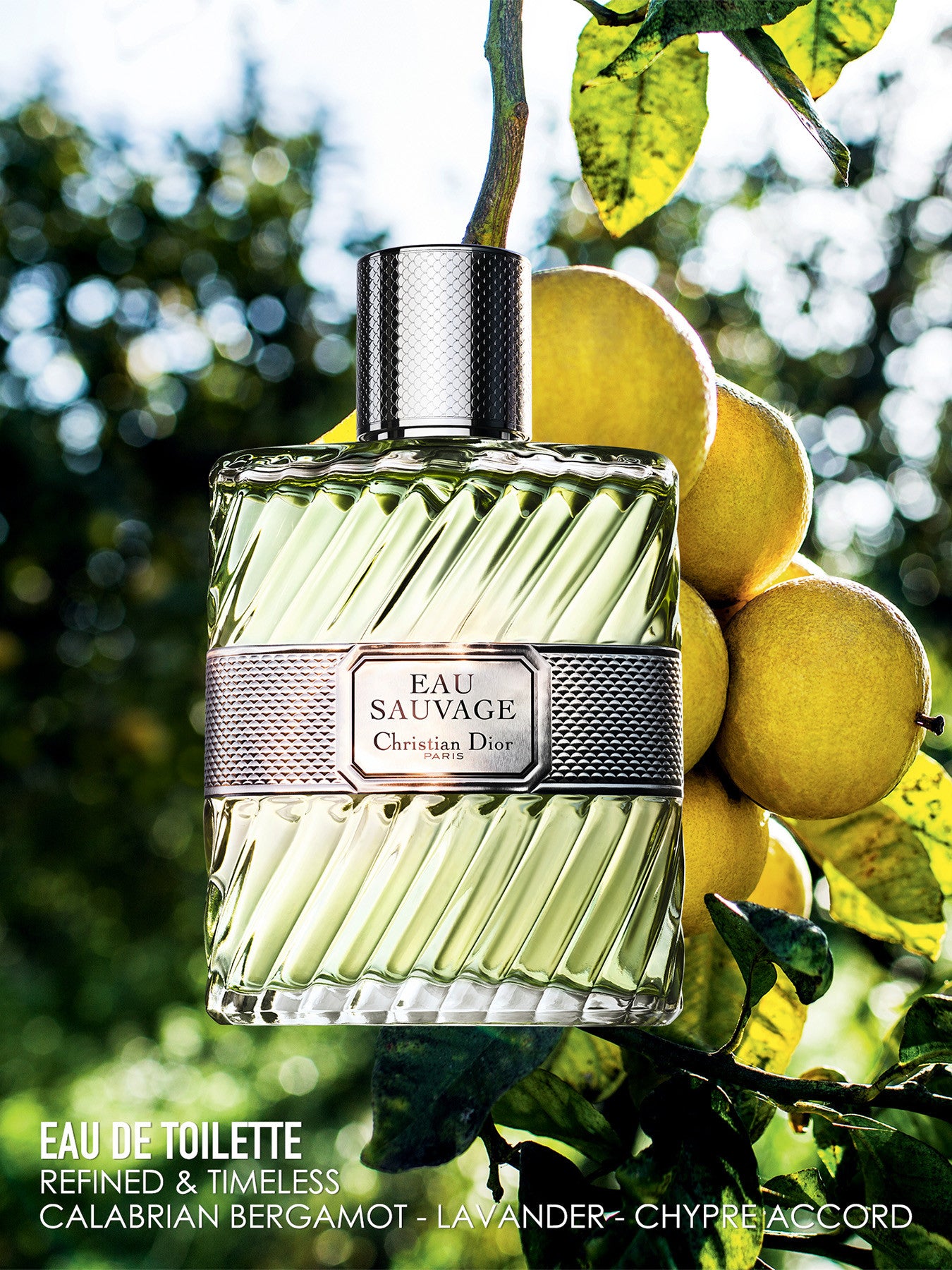 Eau Sauvage Eau de Toilette 50ml