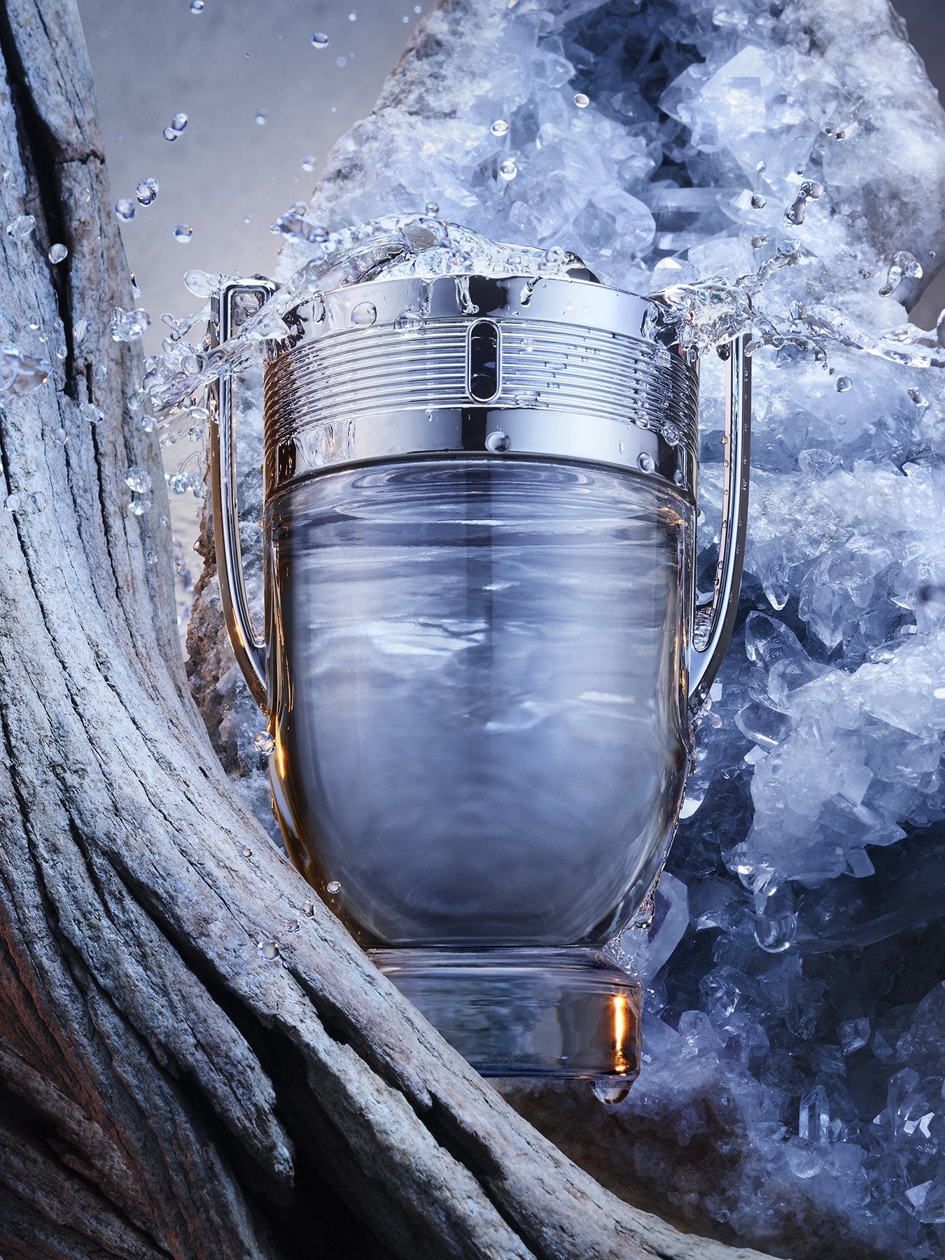 Invictus Eau de Toilette 100ml