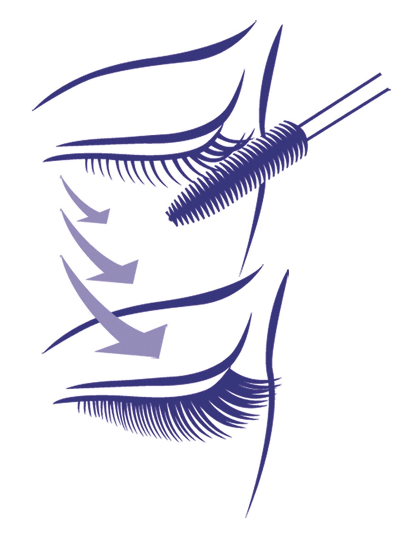 Double Lash