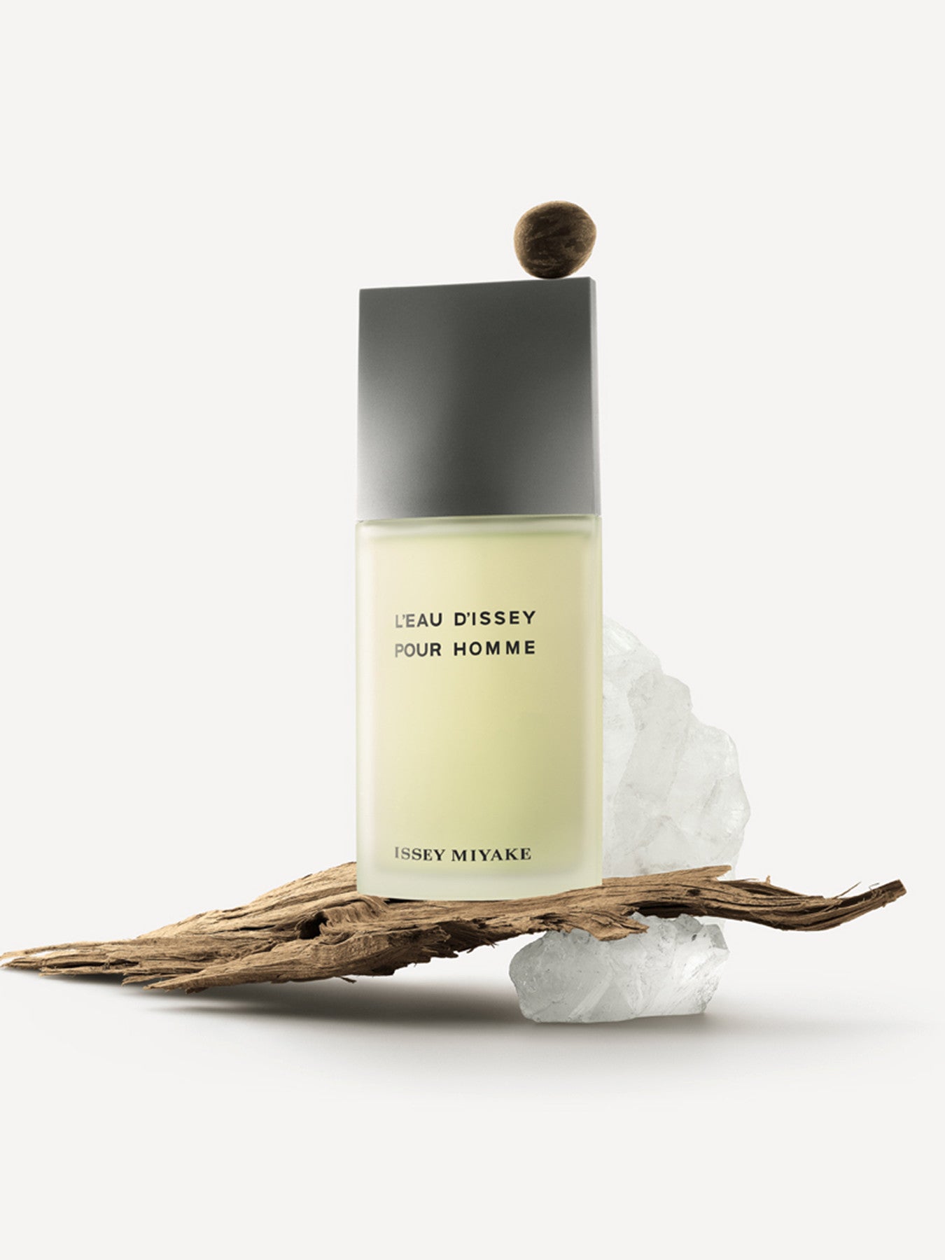 LEau dIssey pour Homme Eau de Toilette 40ml