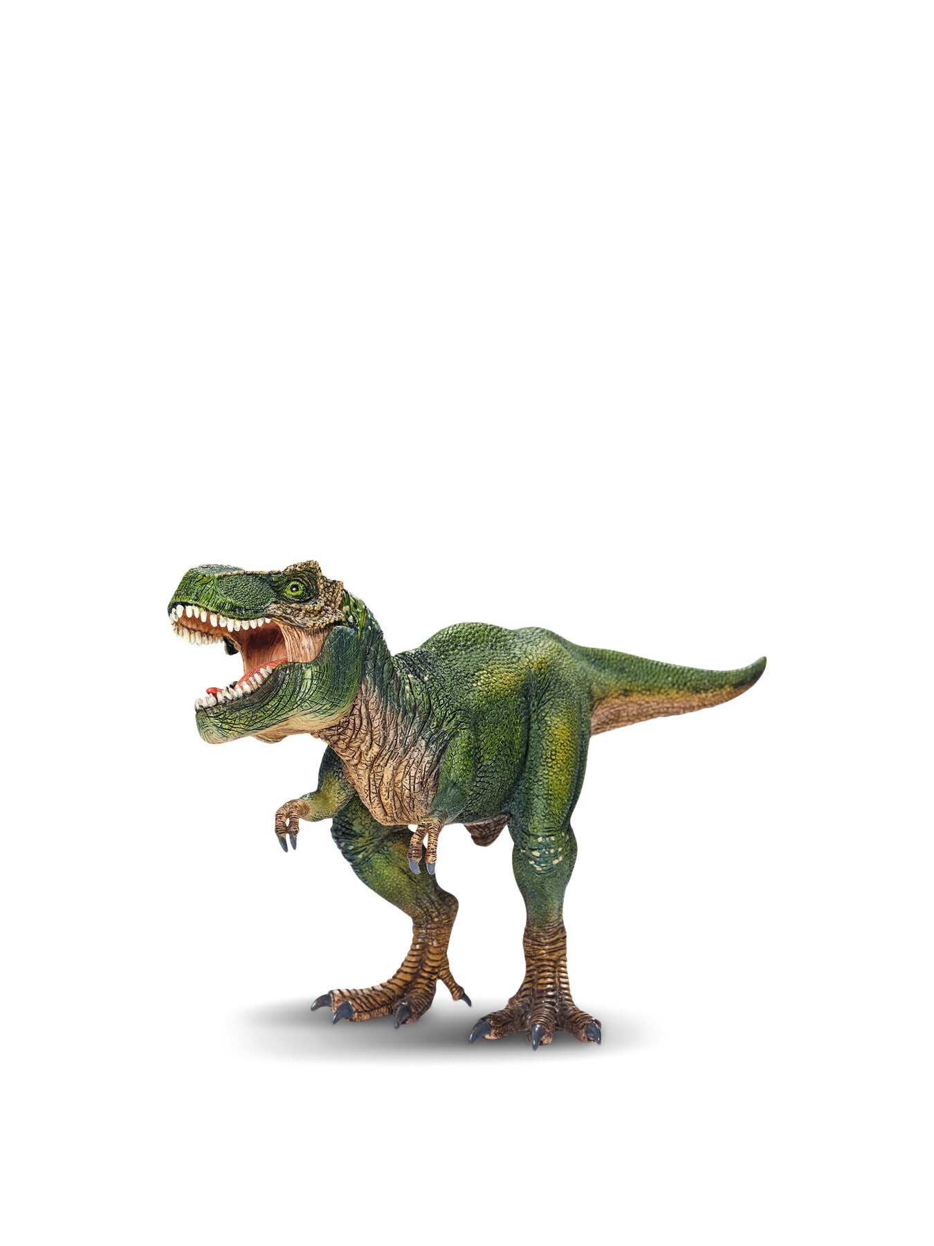 Tyrannosaurus Rex