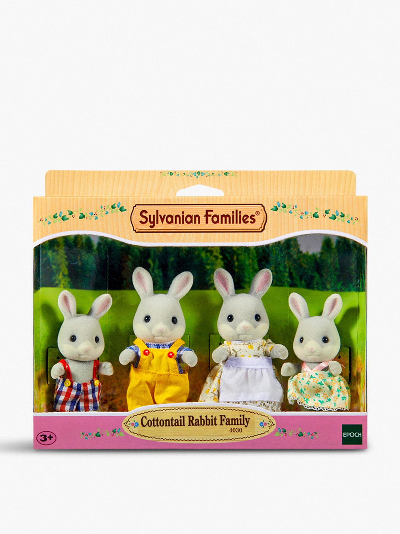 Cottontail Rabbit Family