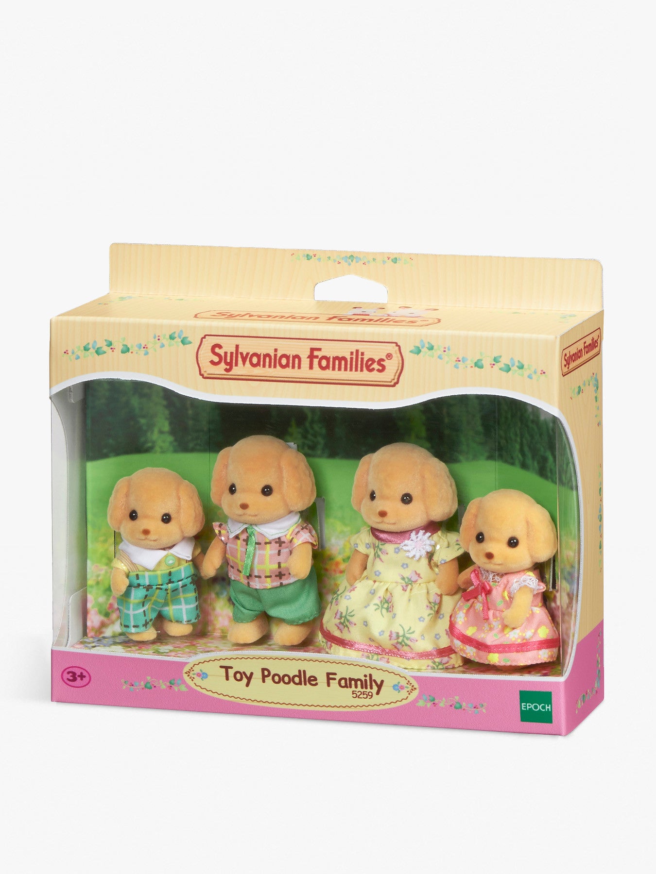 Toy Poodle Family