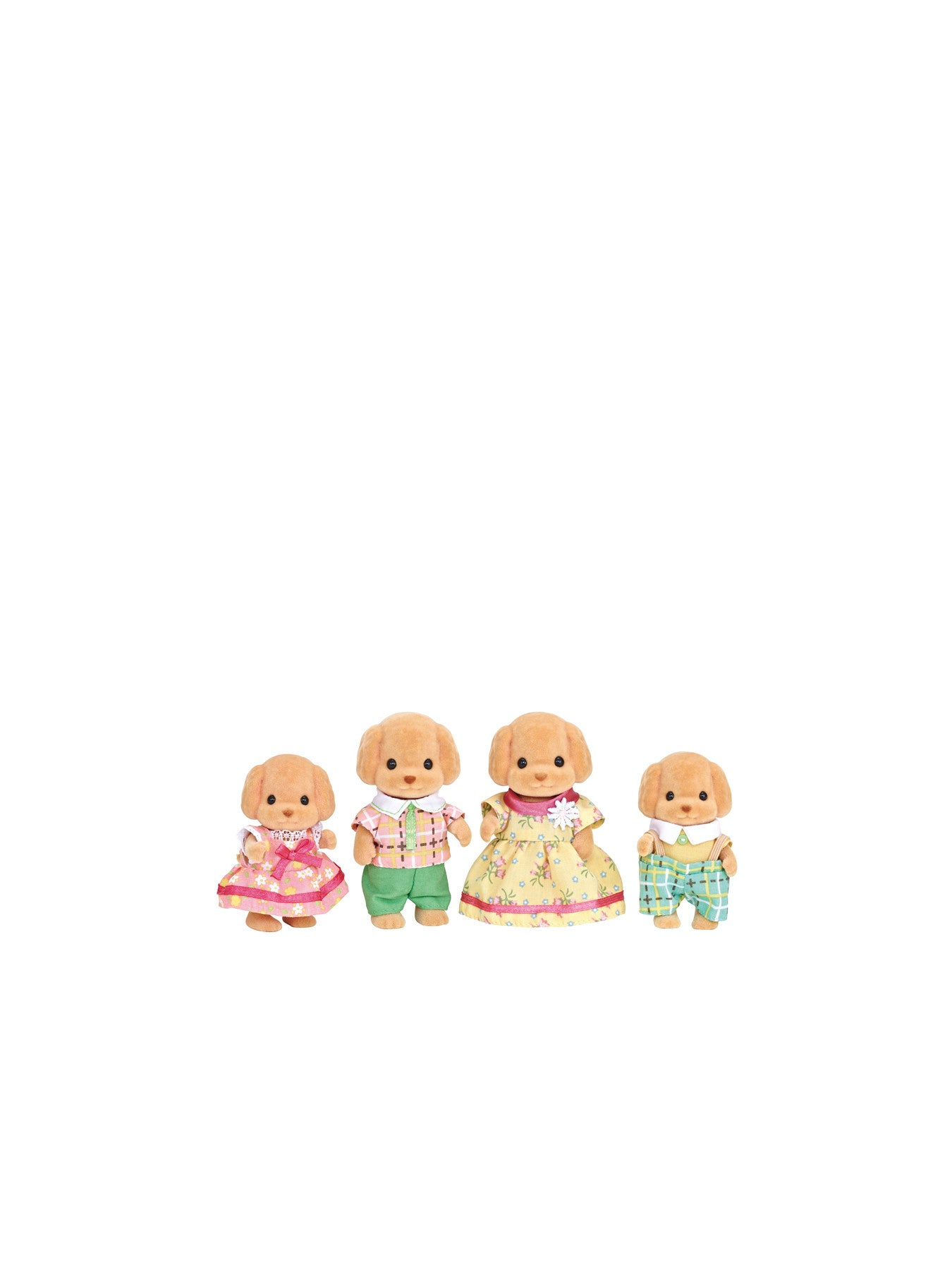 Toy Poodle Family