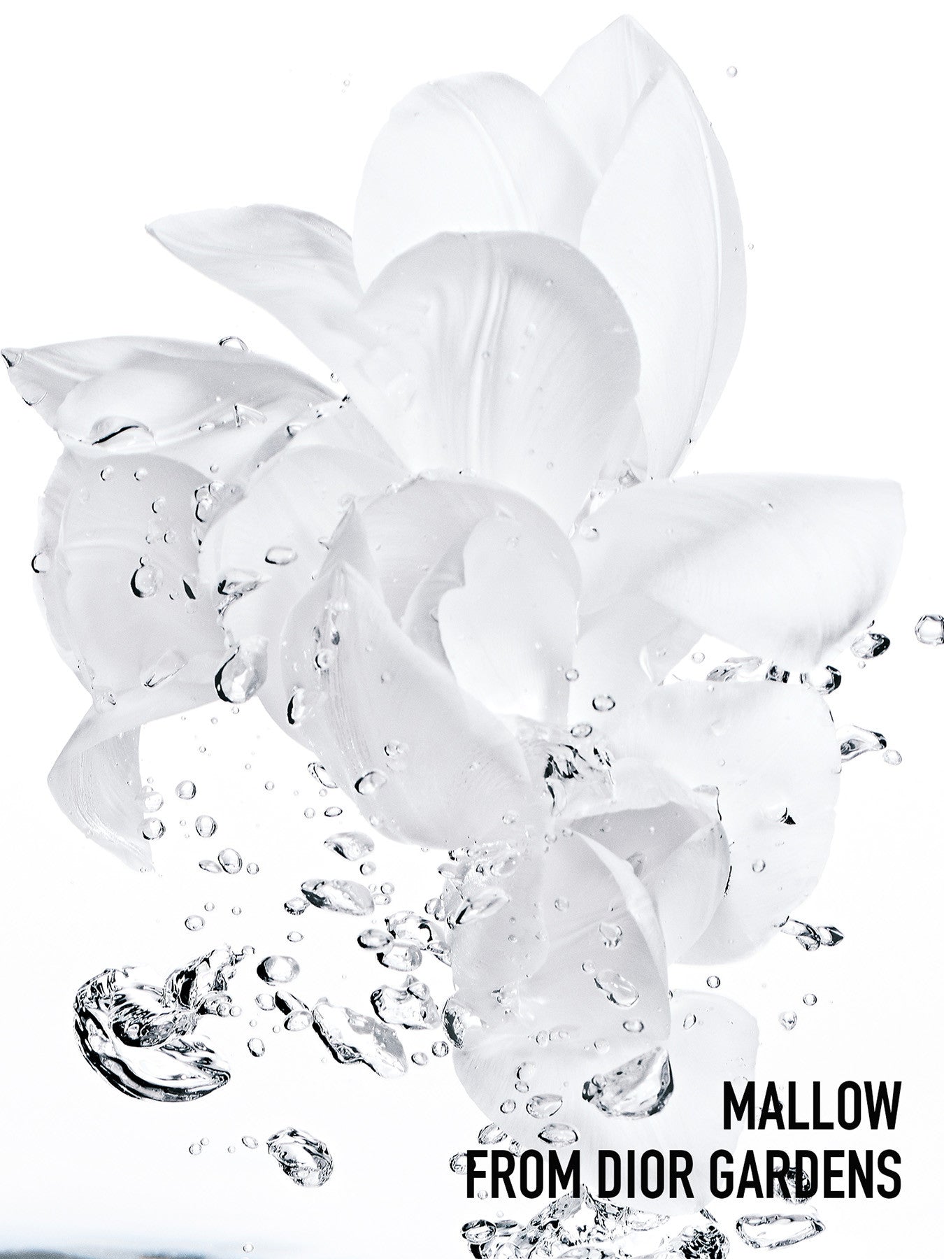 Hydra Life Balancing Hydration 2 in 1 Sorbet Water 175ml