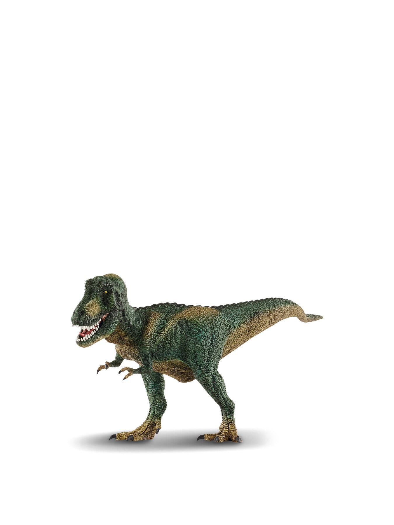 Tyrannosaurus Rex