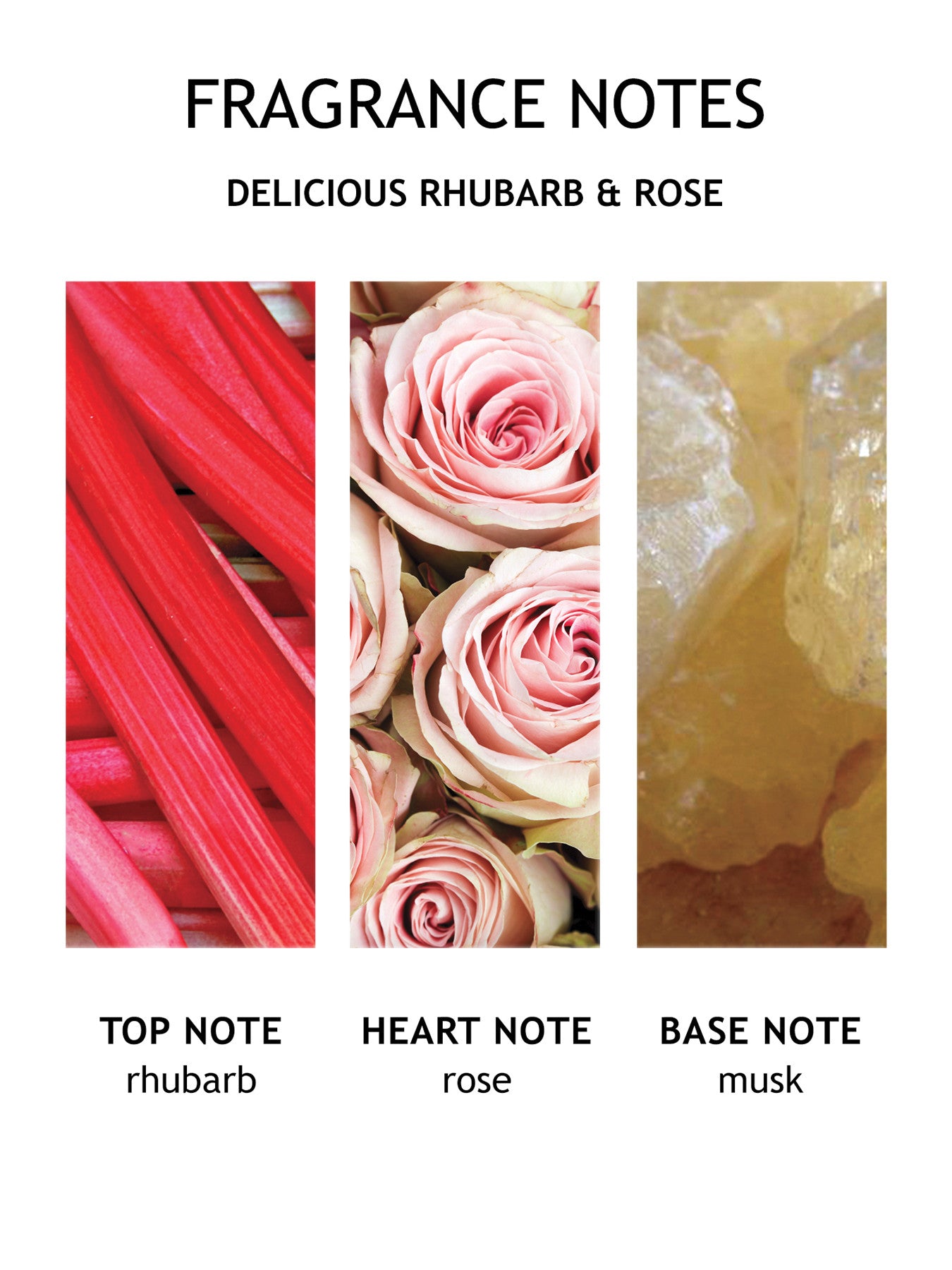 Delicious Rhubarb Rose Fine Liquid Hand Wash