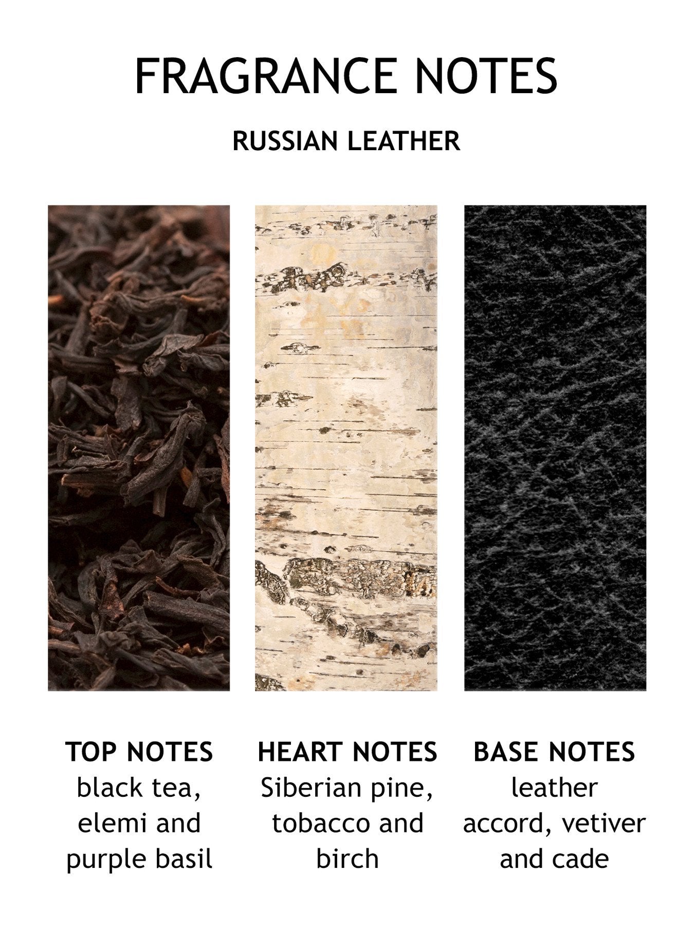 Dark Leather Bath and Shower Gel