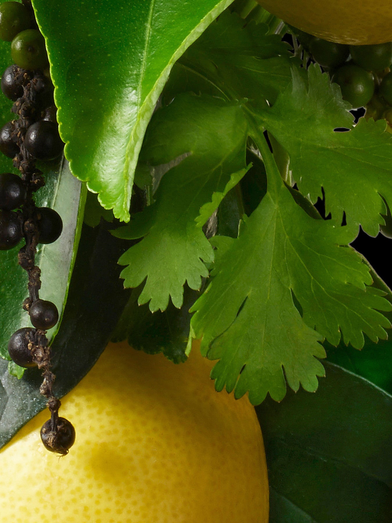 Re-charge Black Pepper Bath Shower Gel