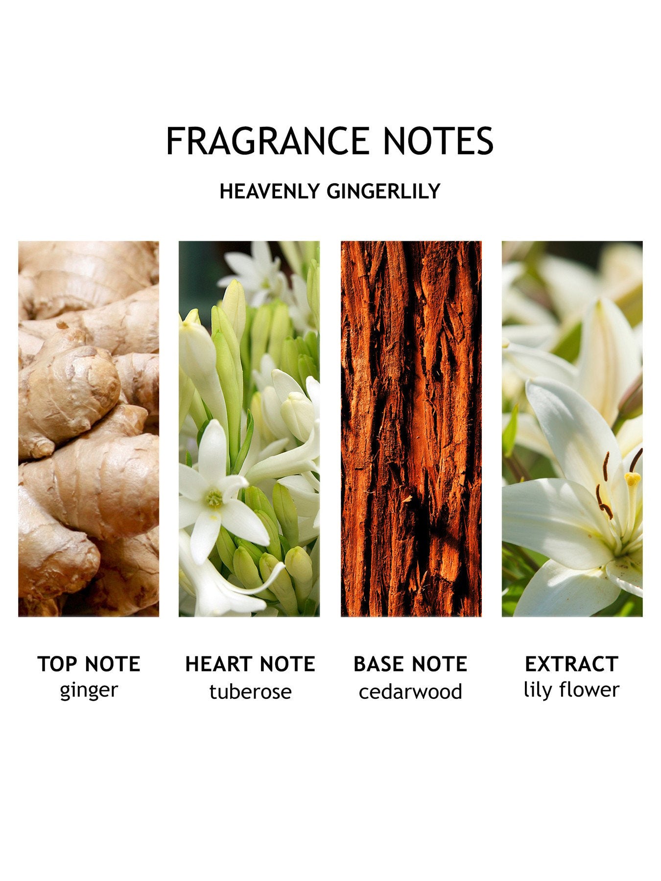 Heavenly Gingerlily Hand Cream
