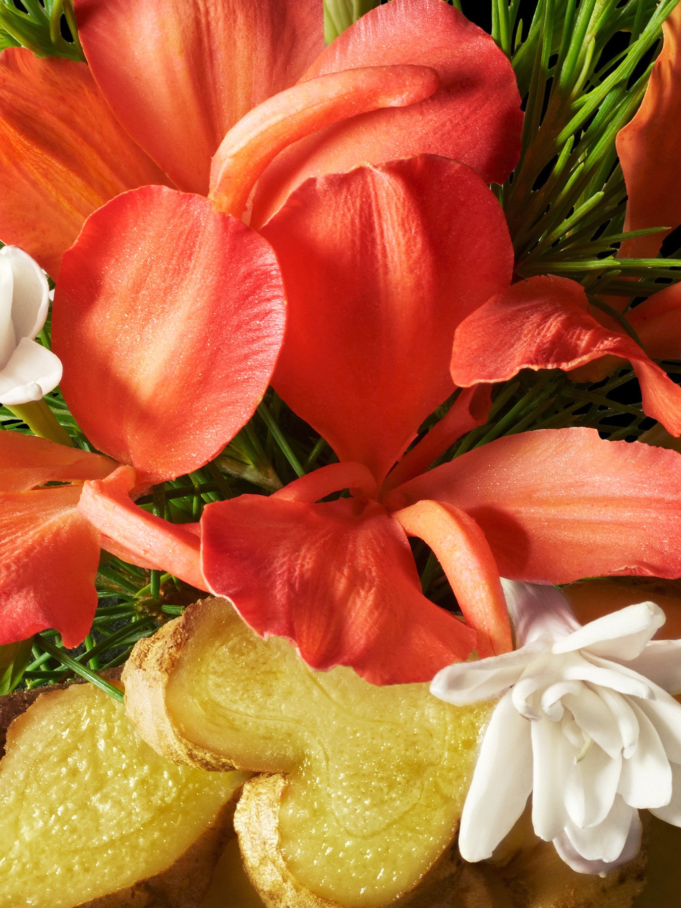 Heavenly Gingerlily Hand Cream
