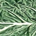 CABBAGE