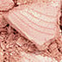 N3 Coral