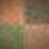 Blurry Green