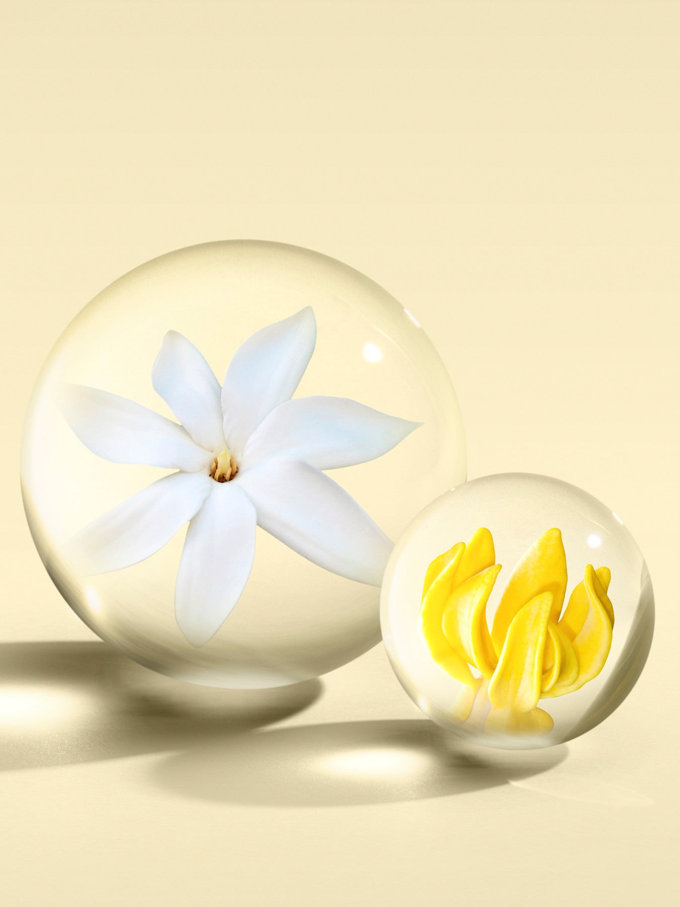 Flora Luminare Eau de Parfum 100 ml