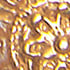 GOLD/PEARL